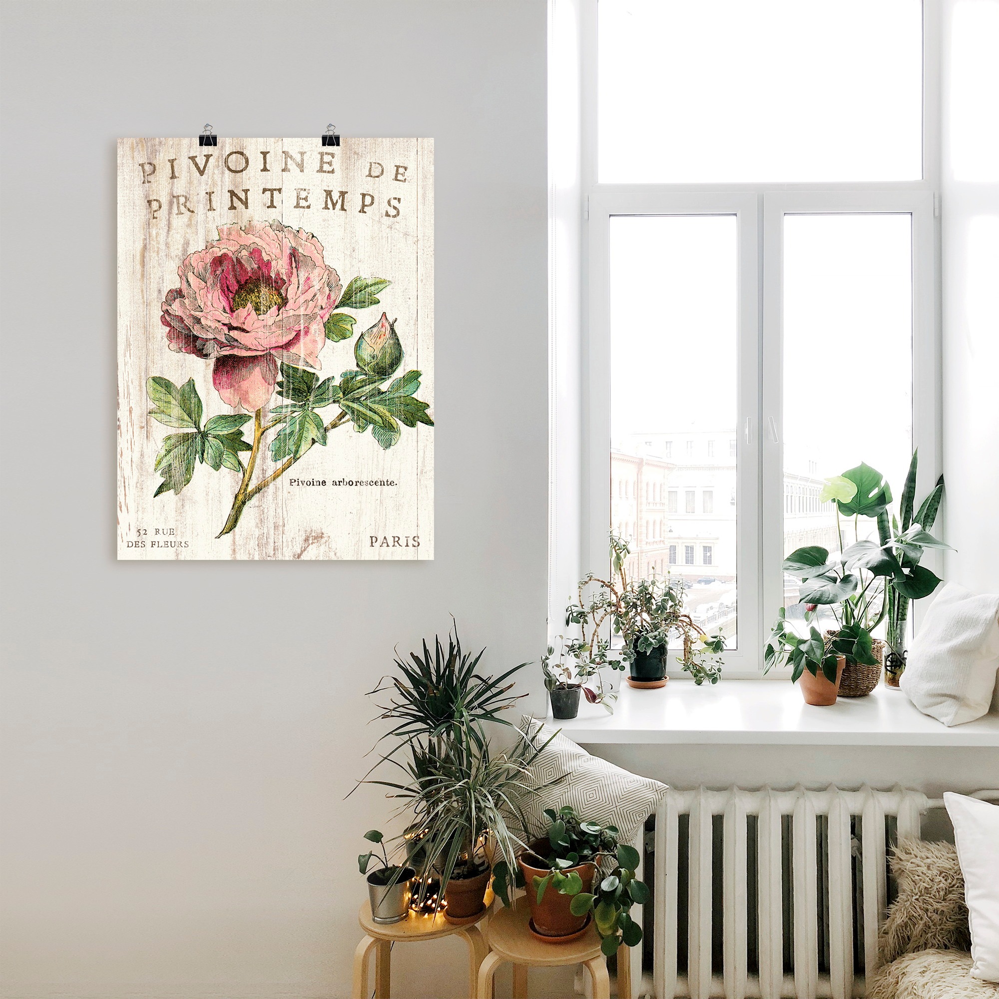 Artland Poster »Pfingstrose« Blumen 1 Stk. tlg. als Leinwandbild, Poster, Wandaufkleber in verschied. Größen