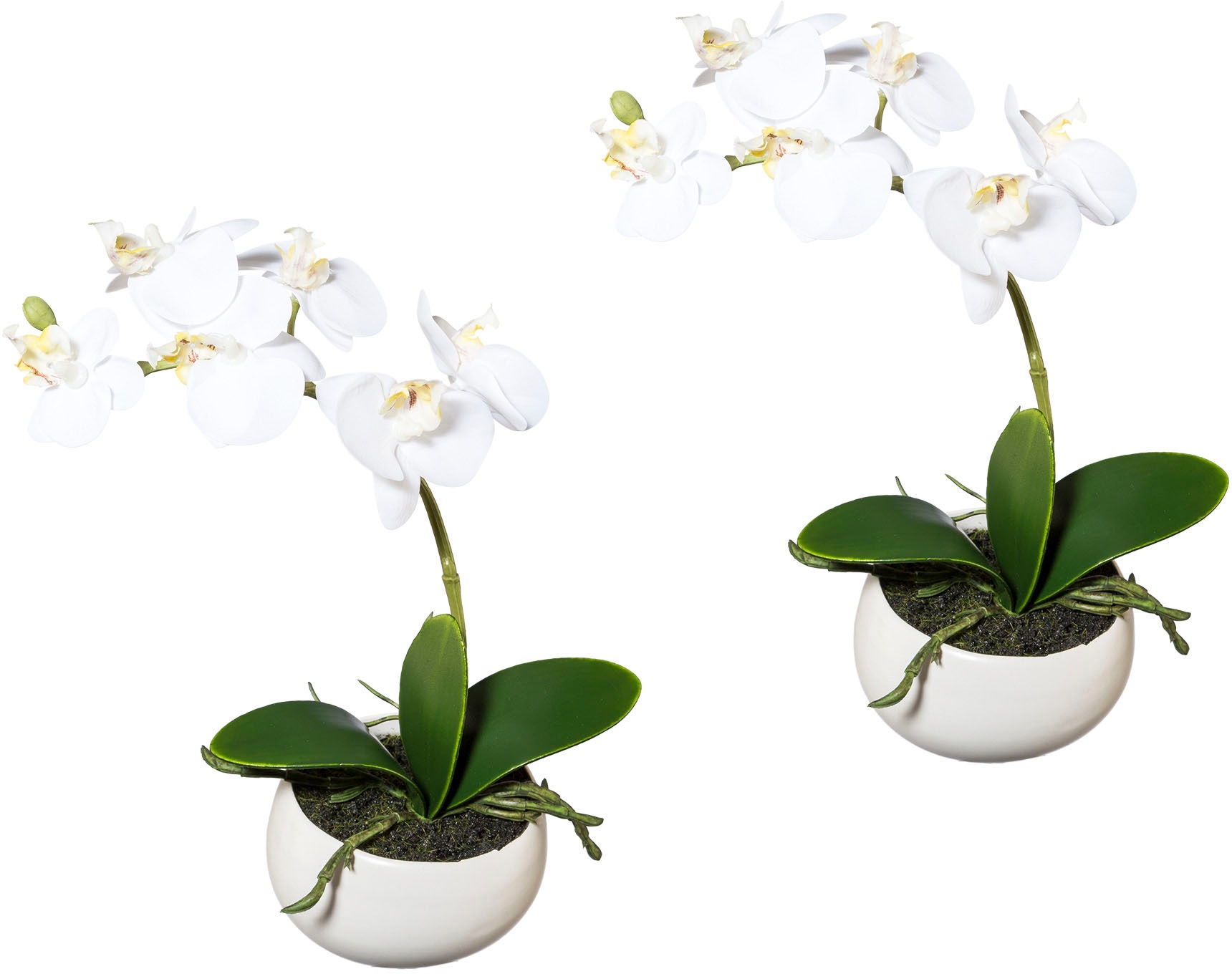 Creativ green Kunstorchidee »Phalaenopsis«, 2er Set, in Keramikschale