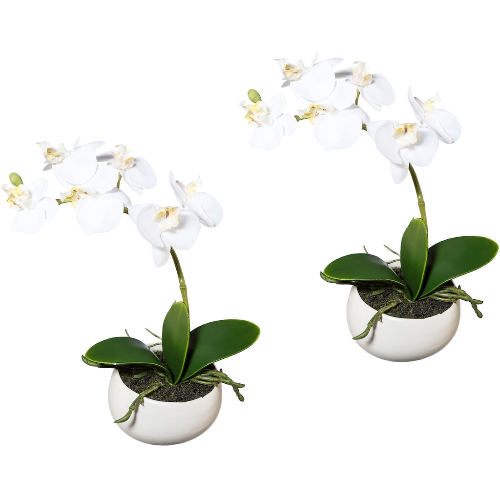 Creativ green Kunstorchidee »Phalaenopsis«