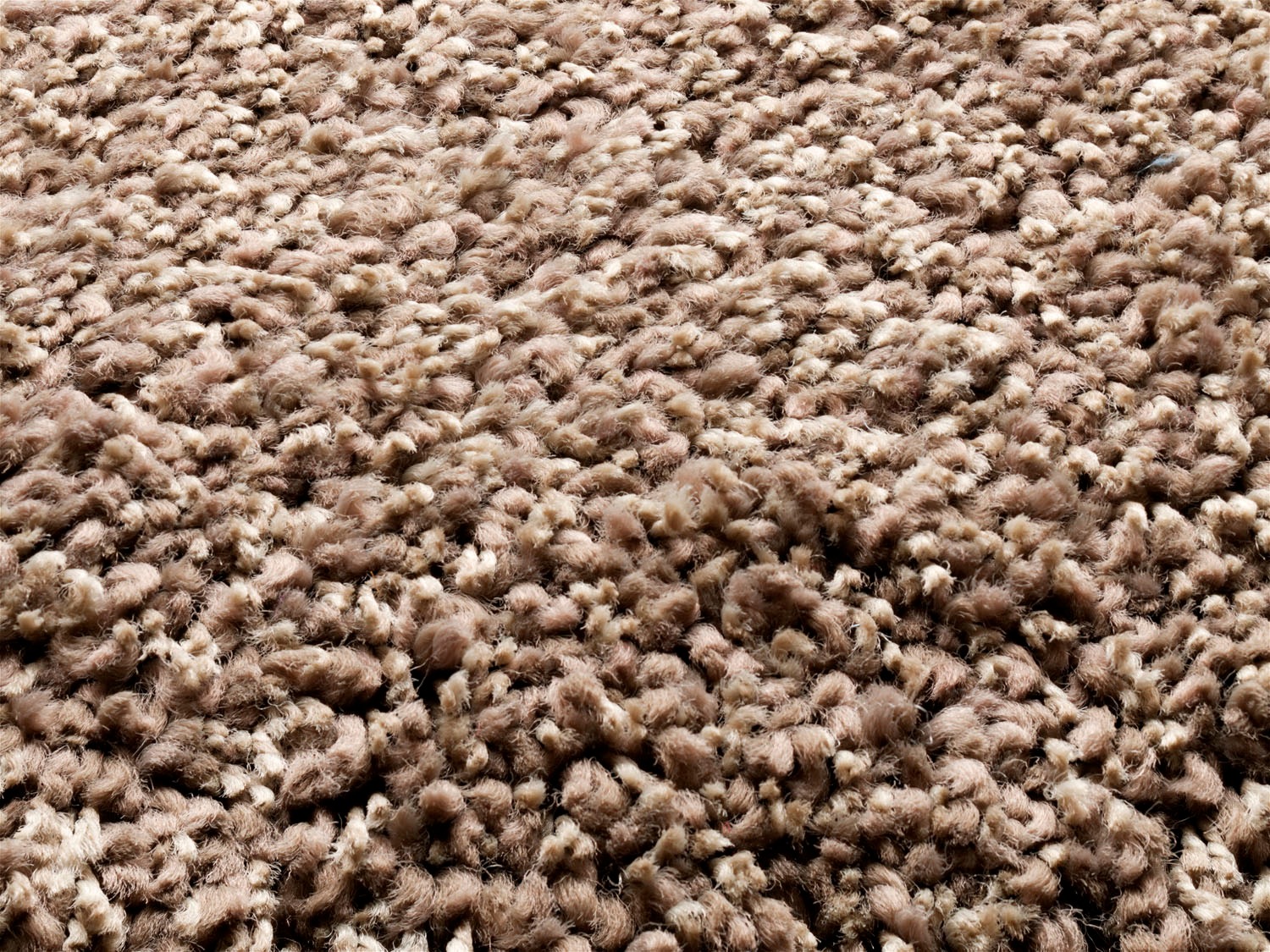 OCI DIE TEPPICHMARKE Hochflor-Teppich »Lobby Shaggy«, rechteckig, 52 mm Höhe, Wohnzimmer