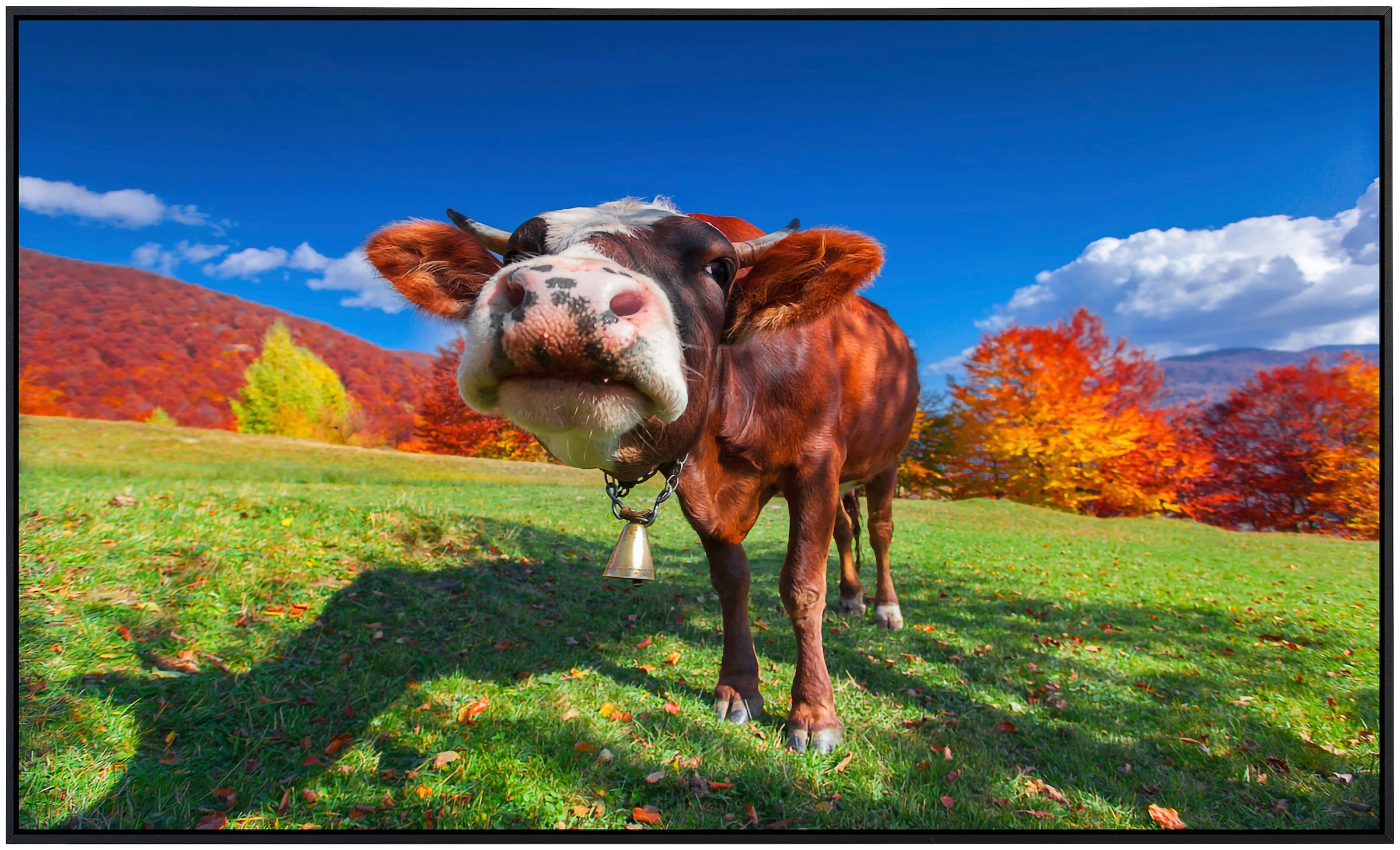 Papermoon Infrarotheizung »Kuh auf Wiese«, sehr angenehme Strahlungswärme
