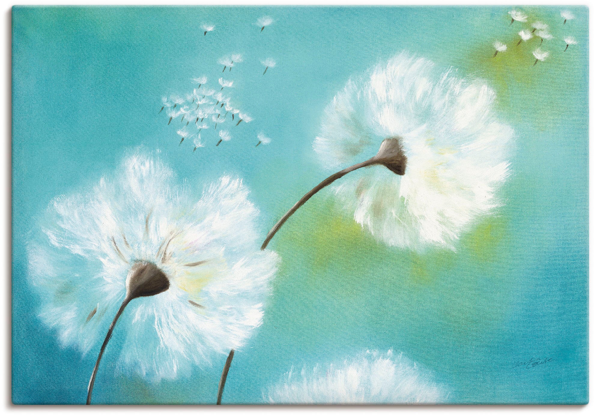 Artland Wandbild "Pusteblumen" Blumen 1 Stk. tlg. als Alubild, Outdoorbild, günstig online kaufen