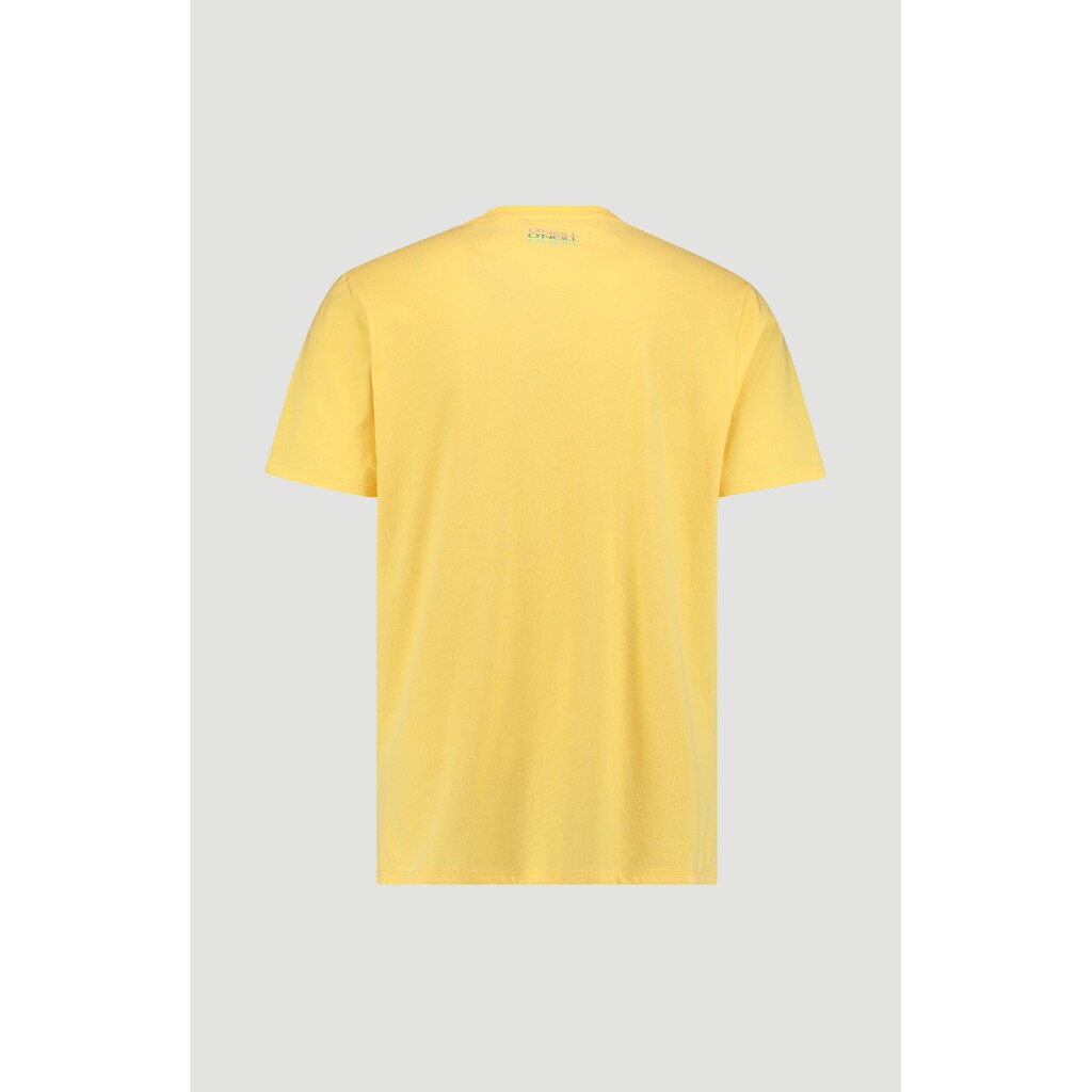 O'Neill T-Shirt »O'riginals summer«