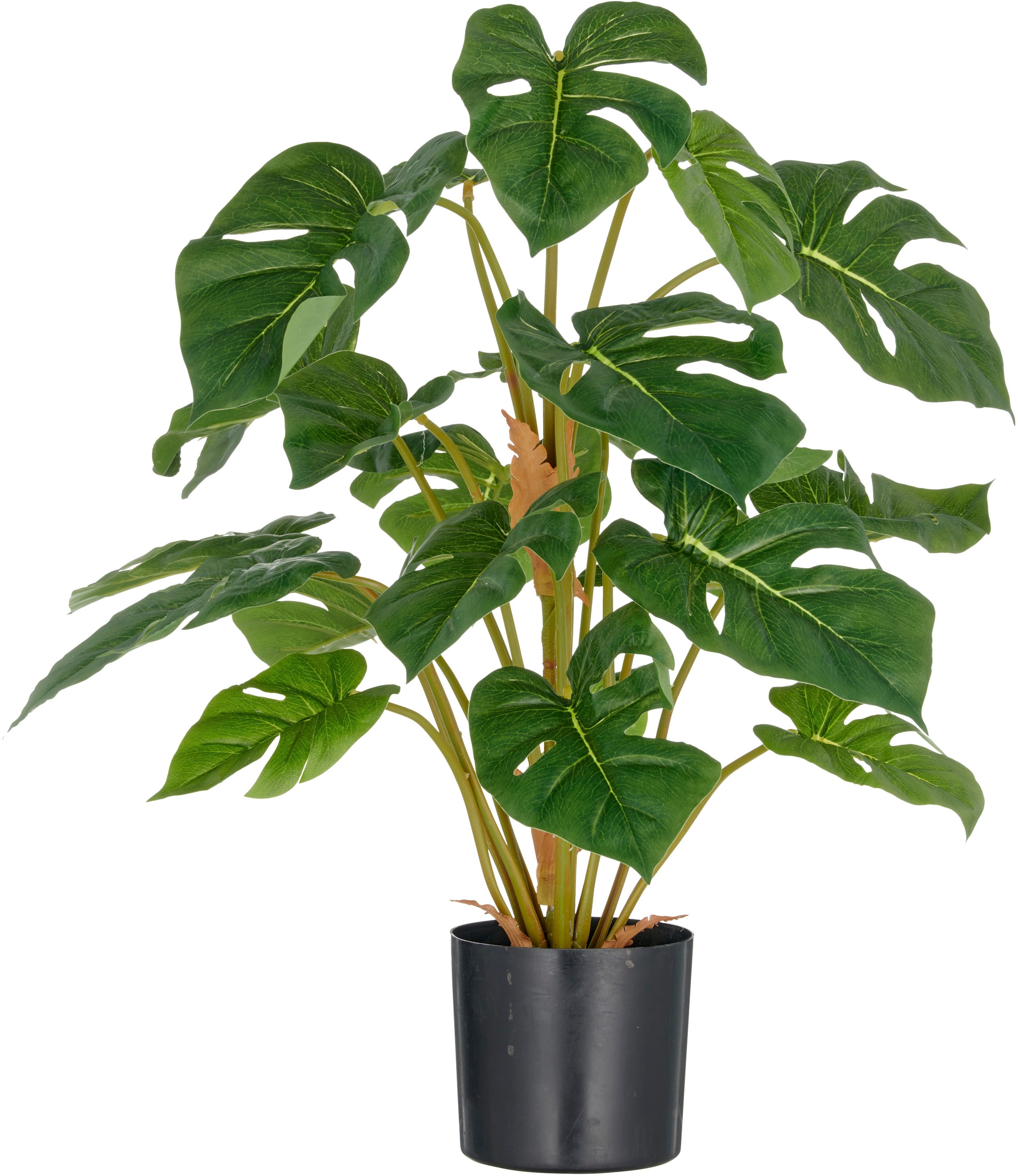 Creativ green Kunstpflanze "Split Philodendron", mit schönem Blattwerk günstig online kaufen