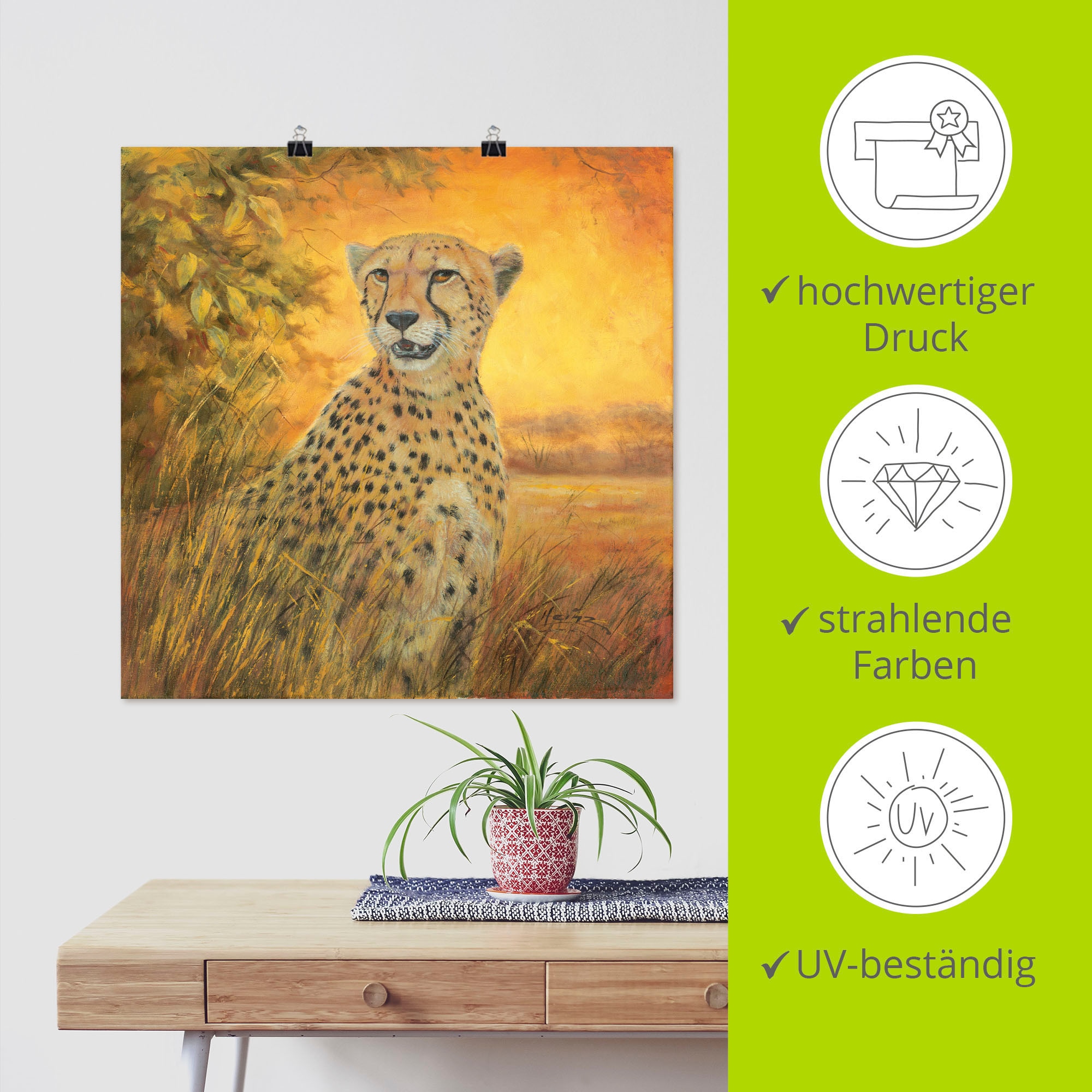 Artland Wandbild »Porträt Gepard«, Geparden in Bilder, | als Leinwandbild, BAUR bestellen Poster Wandaufkleber Größen (1 St.), oder Alubild, versch