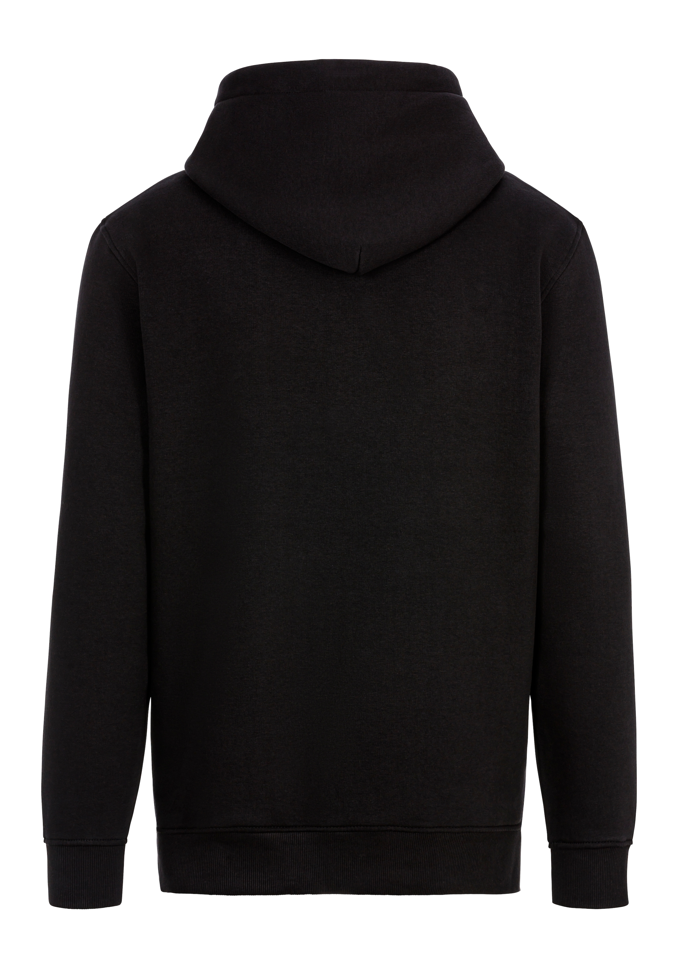 Tommy Jeans Sweatshirt "TJM REG ESSENTIAL FLAG HOOD EXT", mit bedruckten Ma günstig online kaufen