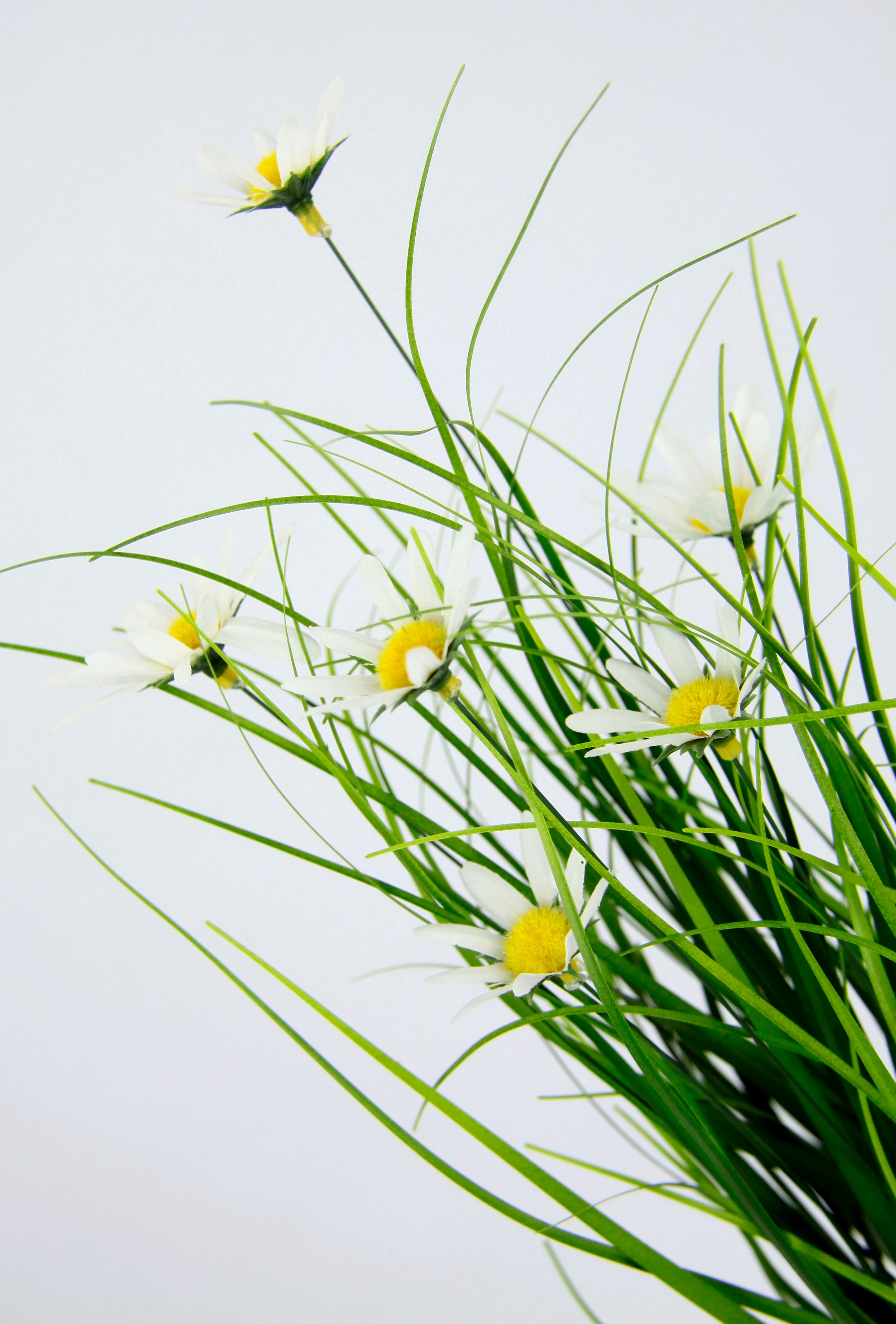 I.GE.A. Kunstgras "Gasbusch", mit Margeritenblüten und Band, in Jutetopf, 2 günstig online kaufen