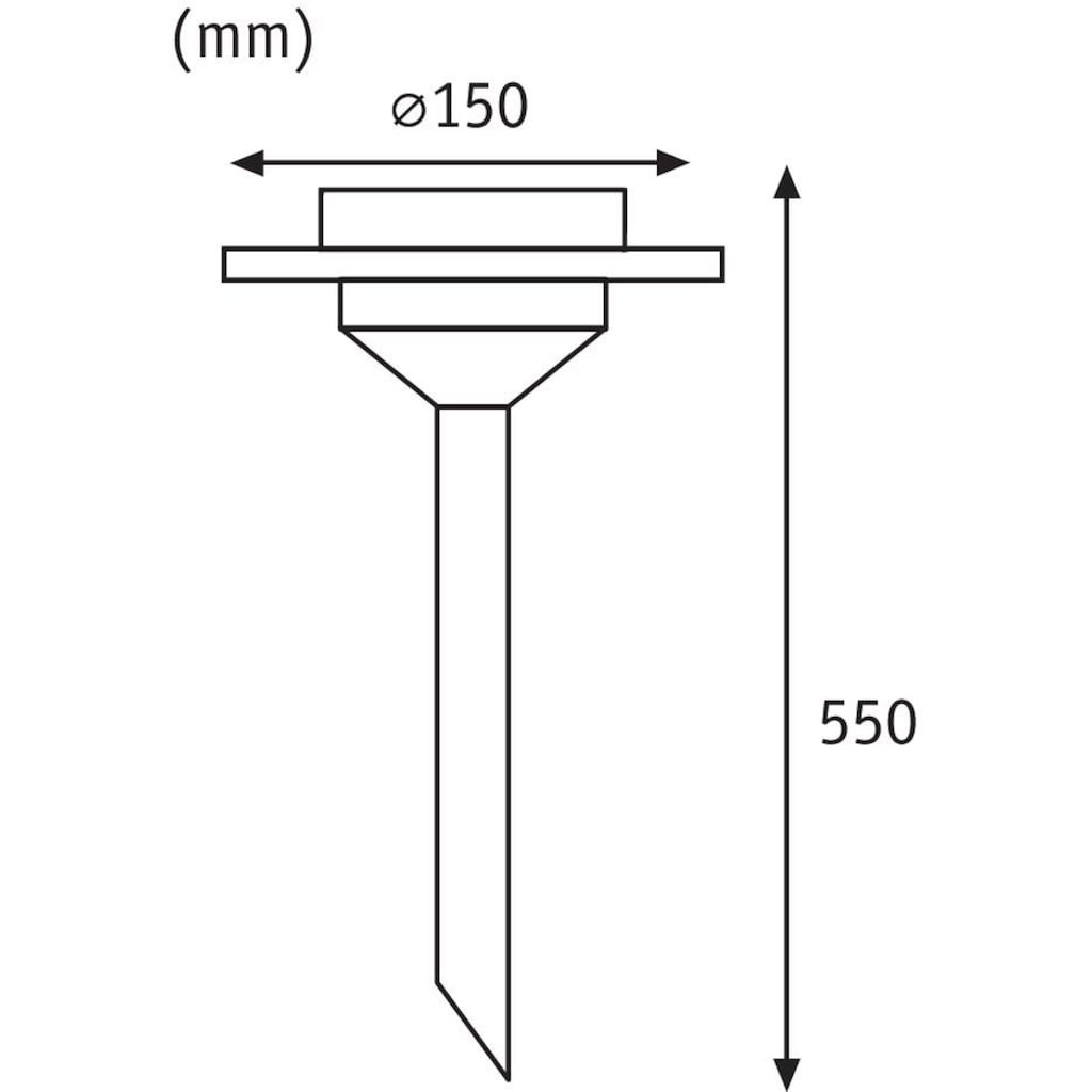 Paulmann LED Gartenleuchte »Solarspieß Ufo IP44 LED 1x0,2W Edelstahl/Klar Edelstahl/Glas«, 1 flammig-flammig, LED-Modul