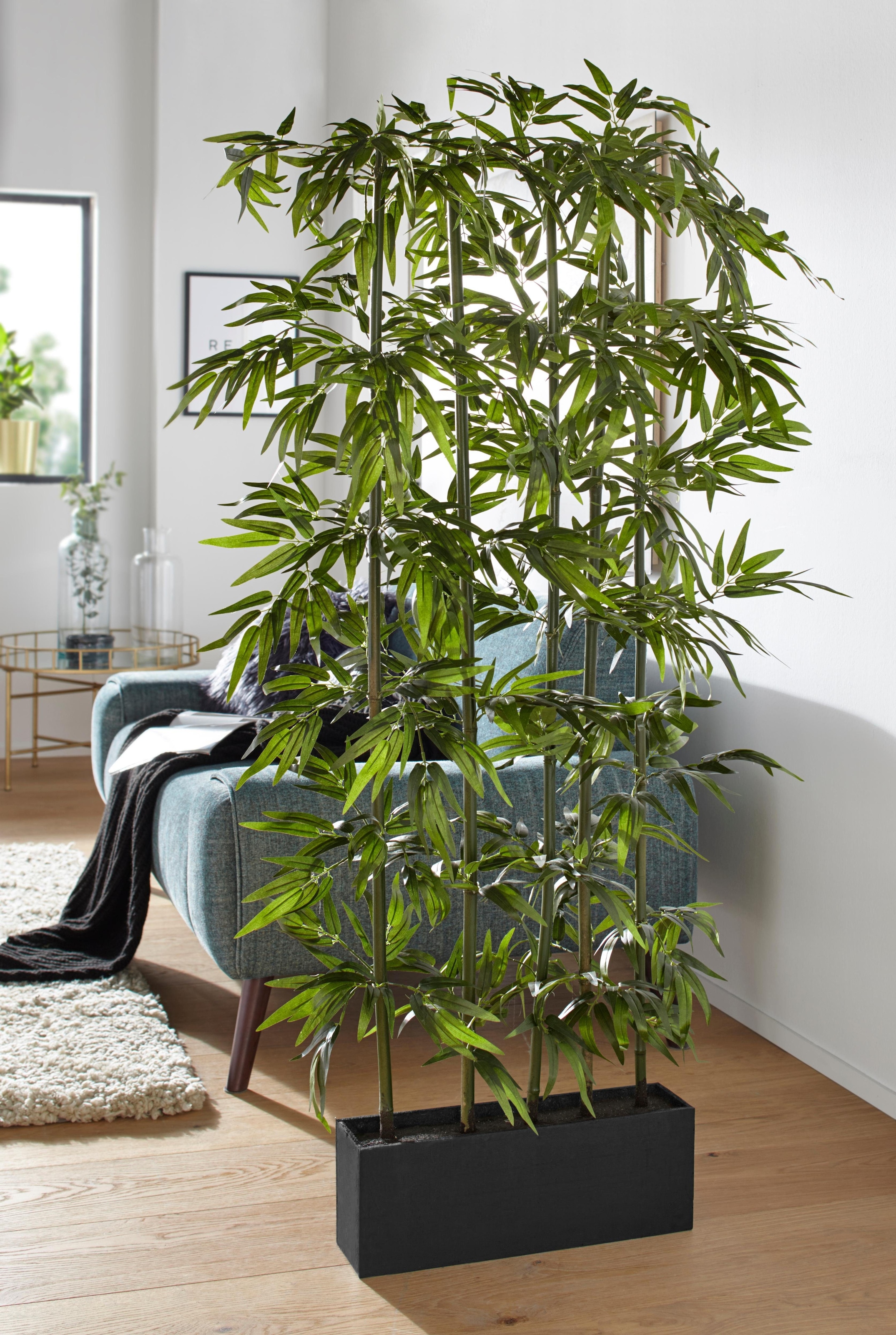 kaufen Kunstpflanze | Creativ »Bambus« BAUR green