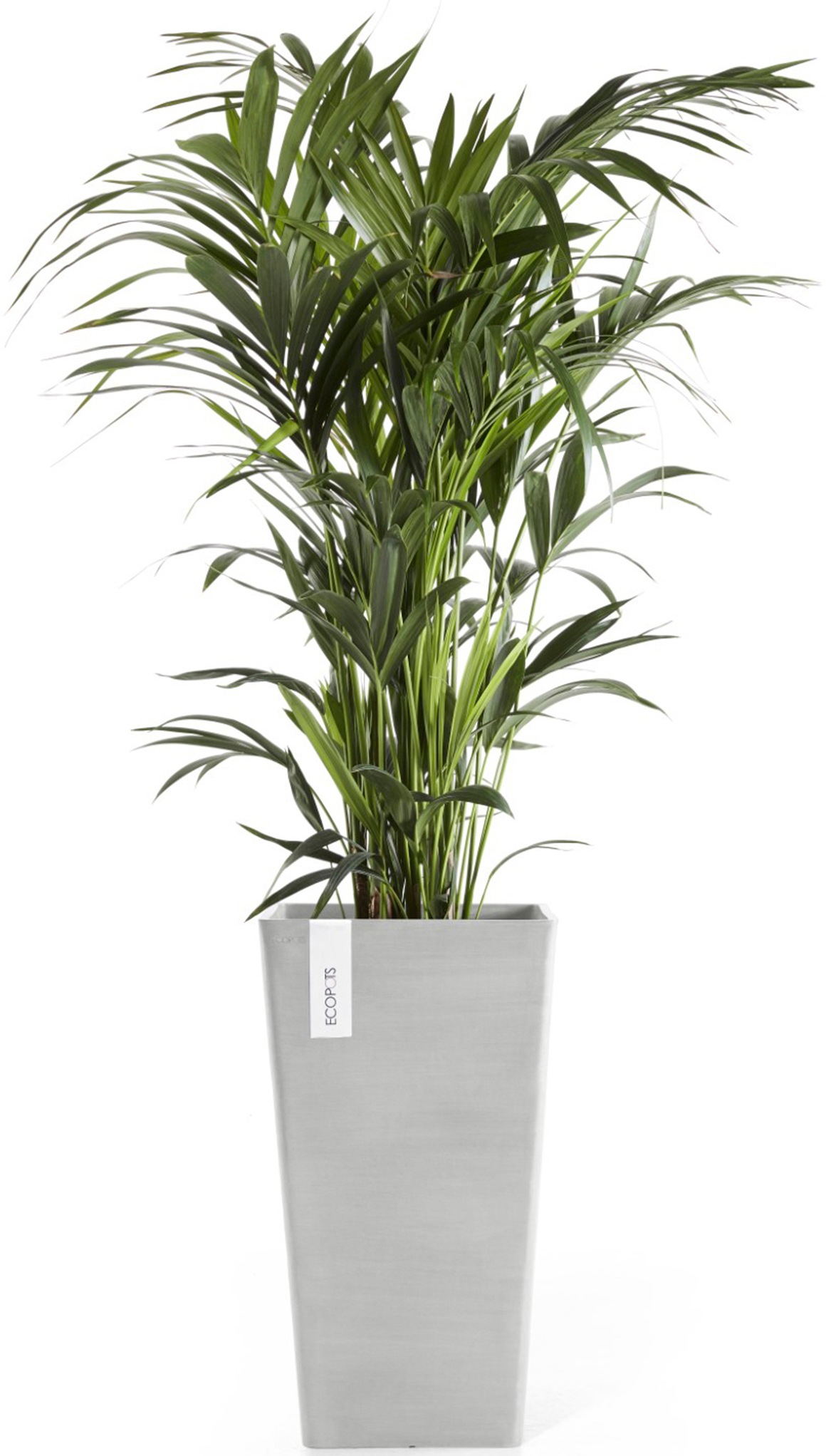 ECOPOTS Blumentopf »Rotterdam halbhoch 56 Weißgrau«, für innen und außen: frostsicher, bruchsicher und lichtbeständig