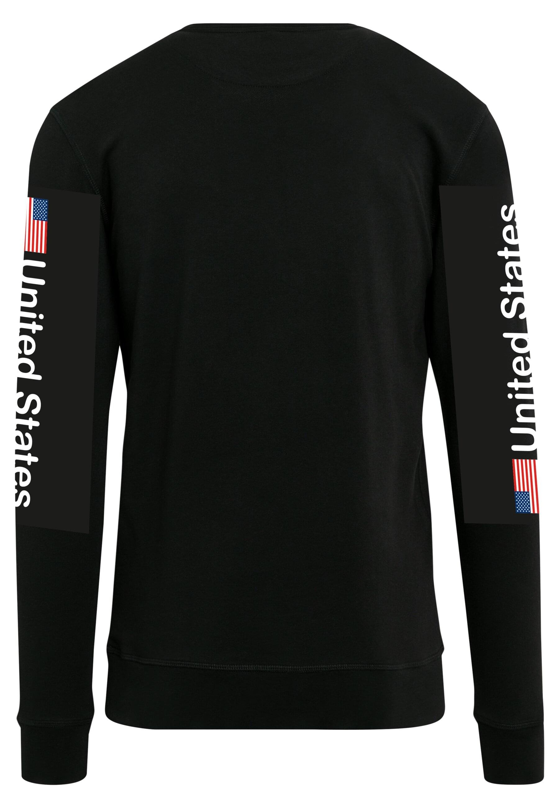 MisterTee Rundhalspullover »MisterTee Herren NASA US Crewneck«, (1 tlg.)