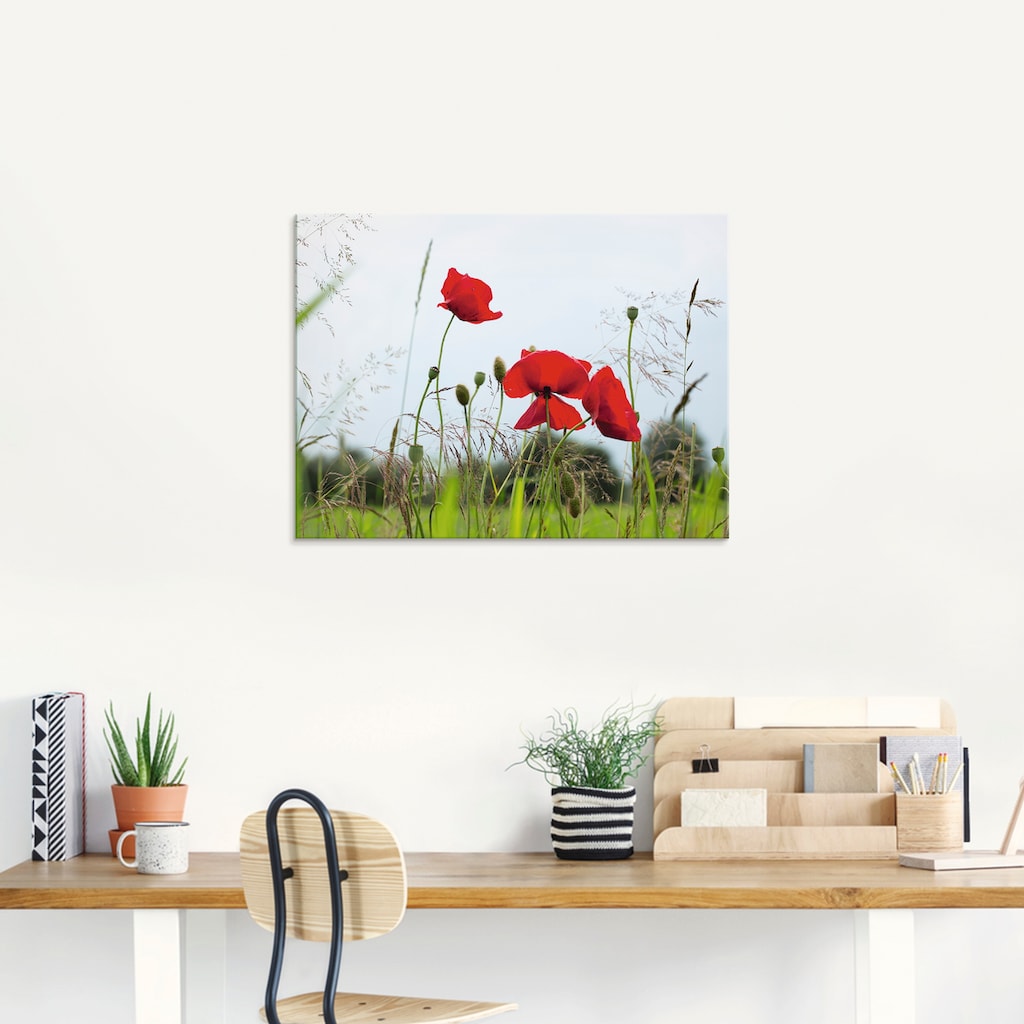 Artland Glasbild »Mohnblumen I«, Blumen, (1 St.)