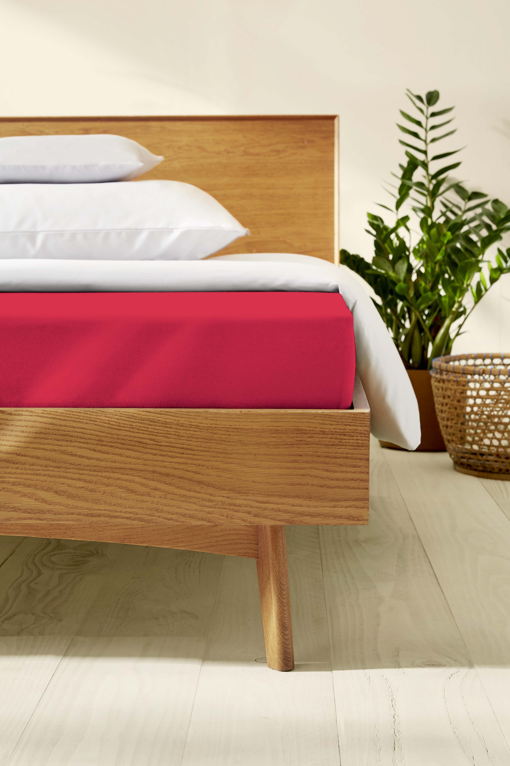 Kaeppel Spannbettlaken »Single Jersey Mako Cotton«, Bettlaken aus 100% Baumwolle