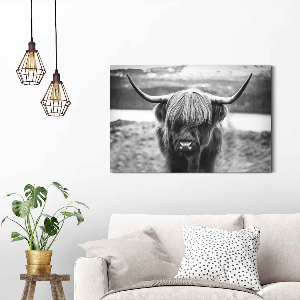 Reinders! Wandbild »Wandbild Schottische Hochlandrind Stier - Hörner - Hochplateau«, Tiere, (1 St.)