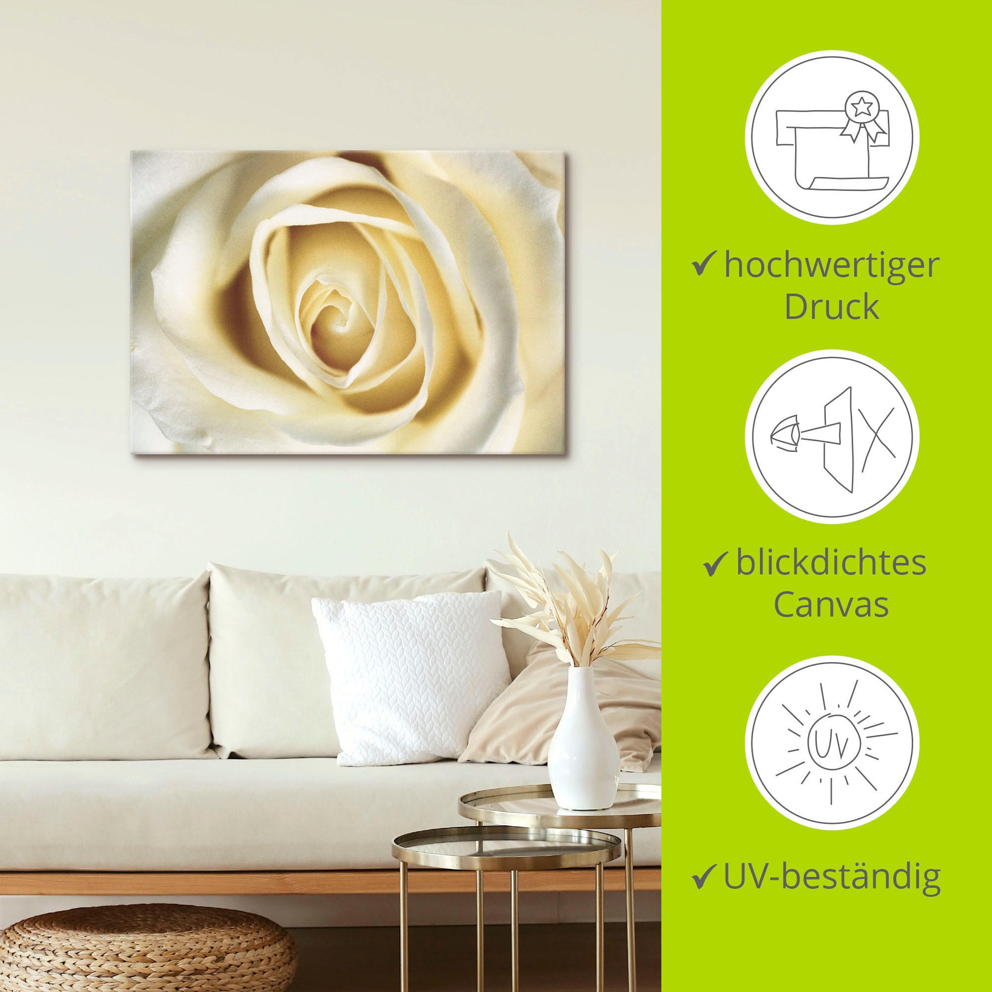 Artland Wandbild »Weiße Rose«, Blumen, (1 St.), als Alubild, Outdoorbild, Leinwandbild in verschied. Größen