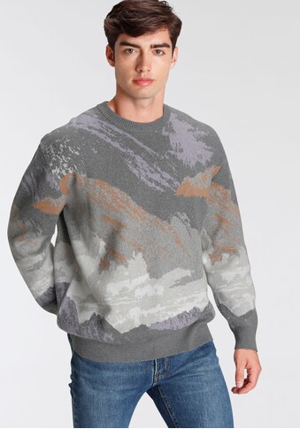 Levi's® Sweater kaufen