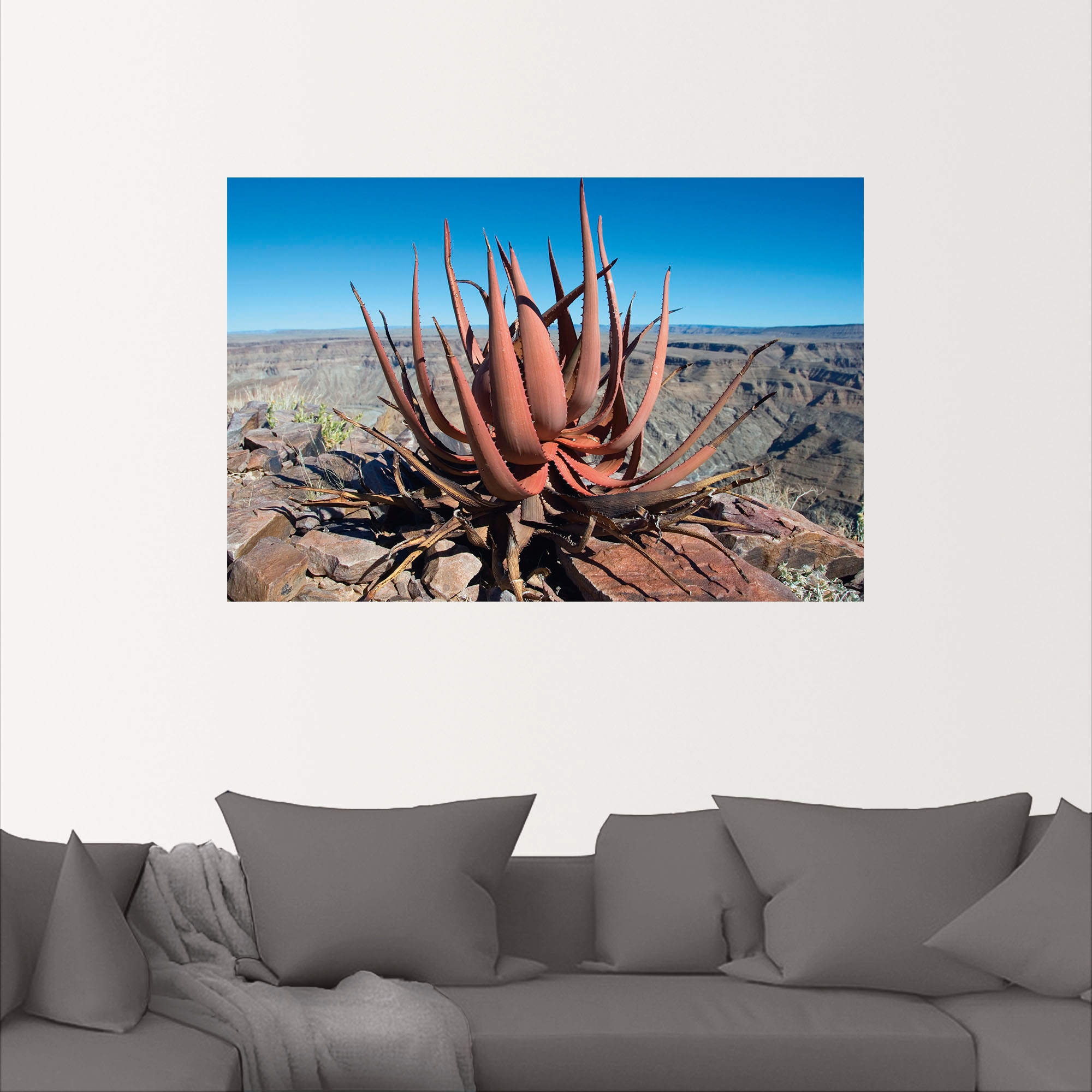 Artland Wandbild »Aloe gariepensis, Sukkulente«, Pflanzenbilder, (1 St.), als Alubild, Leinwandbild, Wandaufkleber oder Poster in versch. Größen