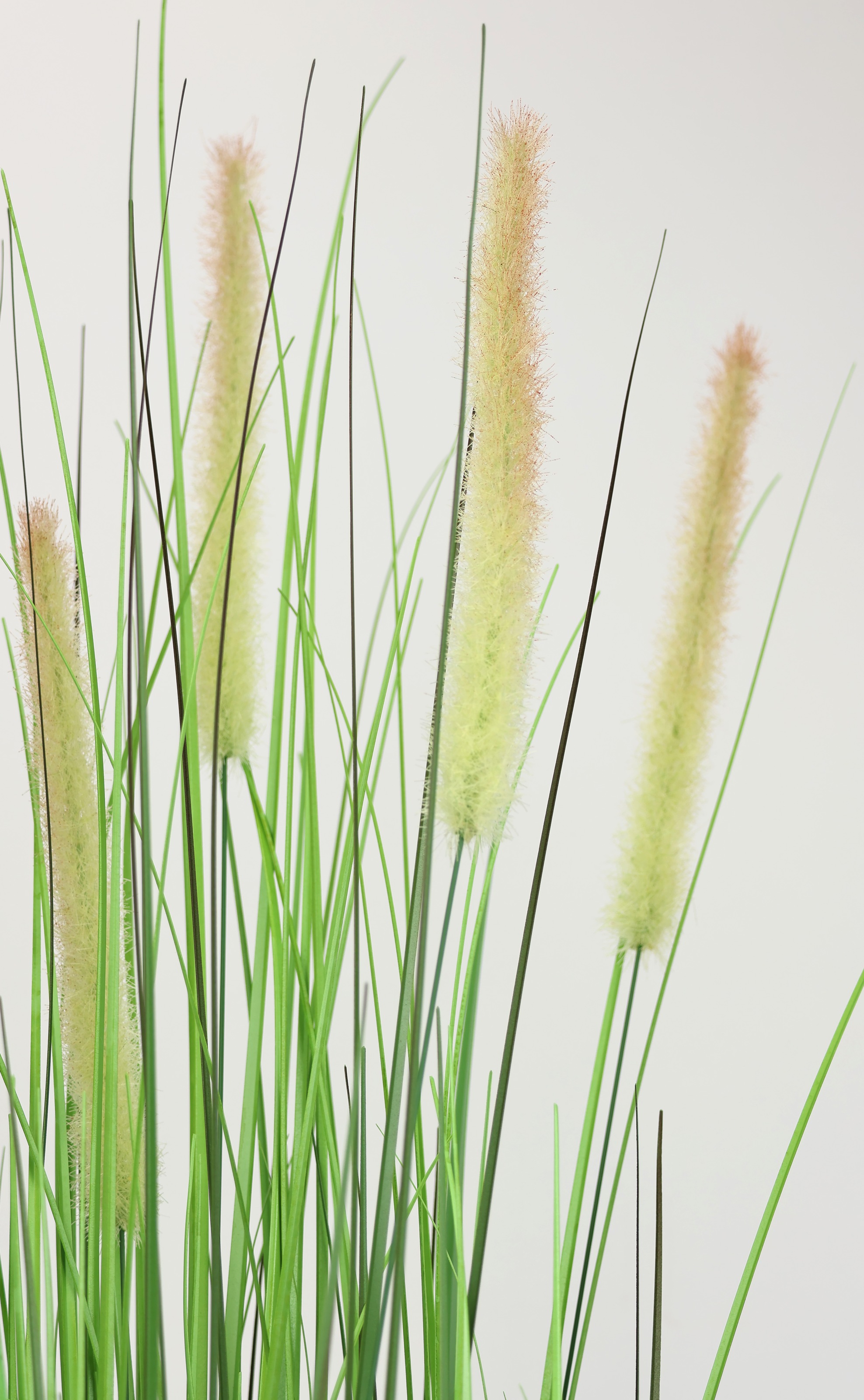 Thumbnail - I.GE.A. Kunstpflanze "Gras"