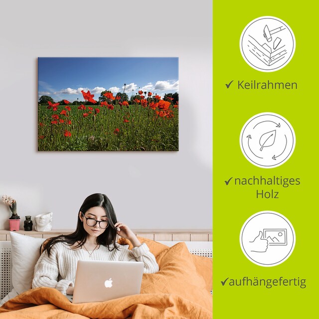 (1 Größen bestellen Wandaufkleber oder BAUR Artland Poster St.), Leinwandbild, Blumenwiese, Alubild, | Wandbild versch. »Mohnblumen«, in als