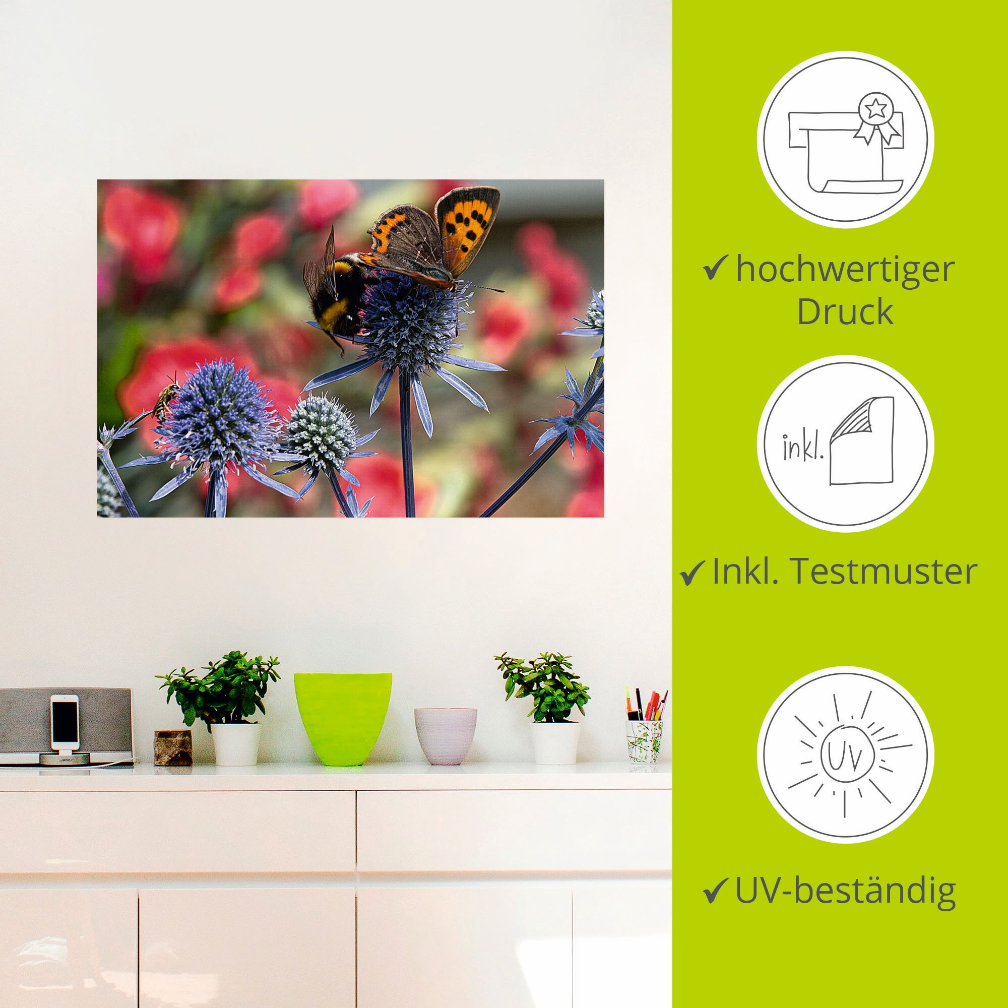 Artland Wandbild »Kleiner Feuerfalter und Hummel«, Insekten, (1 St.), als Alubild, Outdoorbild, Leinwandbild, Wandaufkleber, versch. Größen