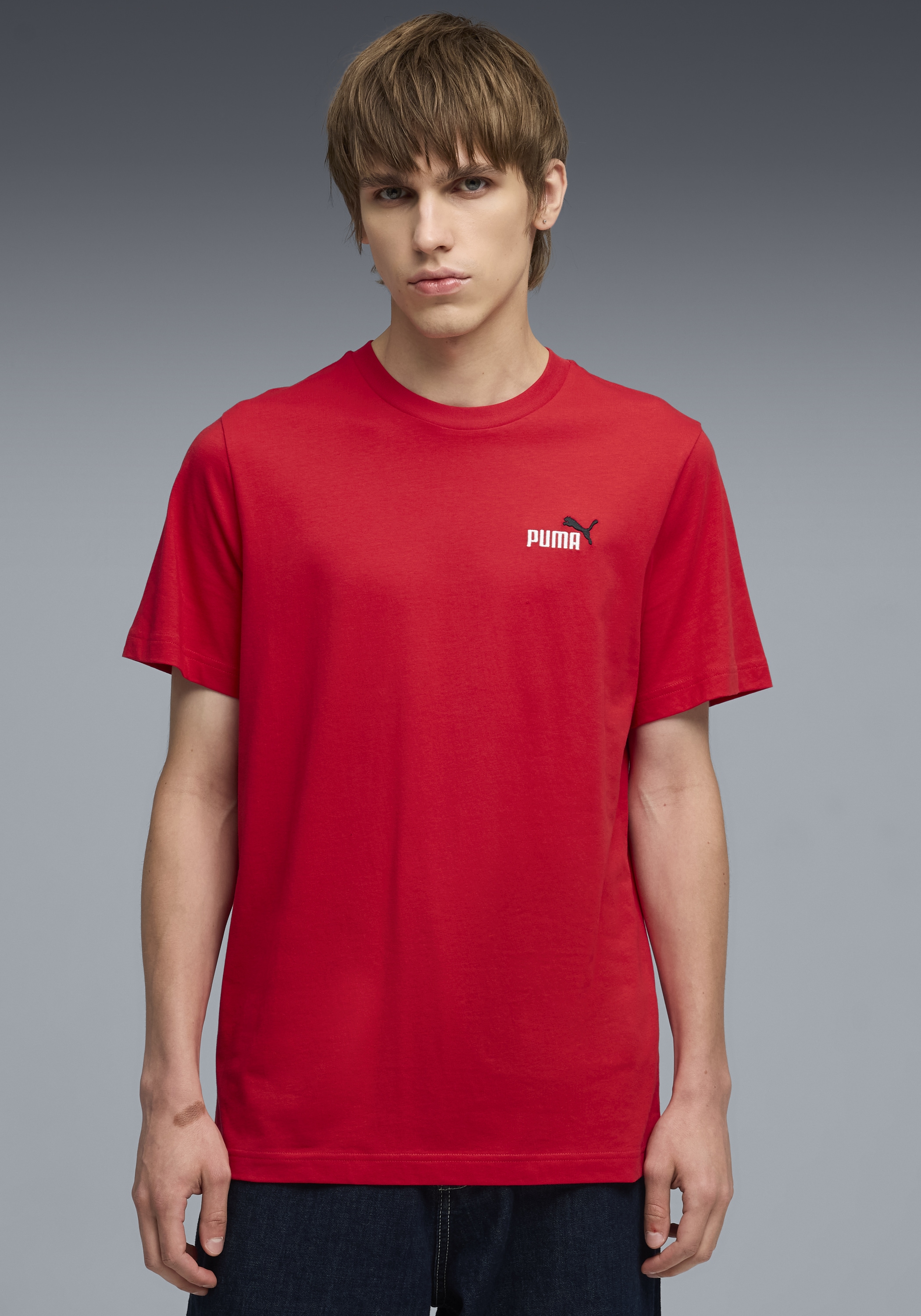 PUMA T-Shirt "GRAPHICS 2 COLOR SMALL NO 1 LOGO TEE" mit Rundhalsausschnitt, mit Kurzarm, mit Print-Applikation