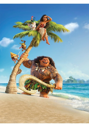 Komar Vliestapete »Moana and Maui« 184x248 c...