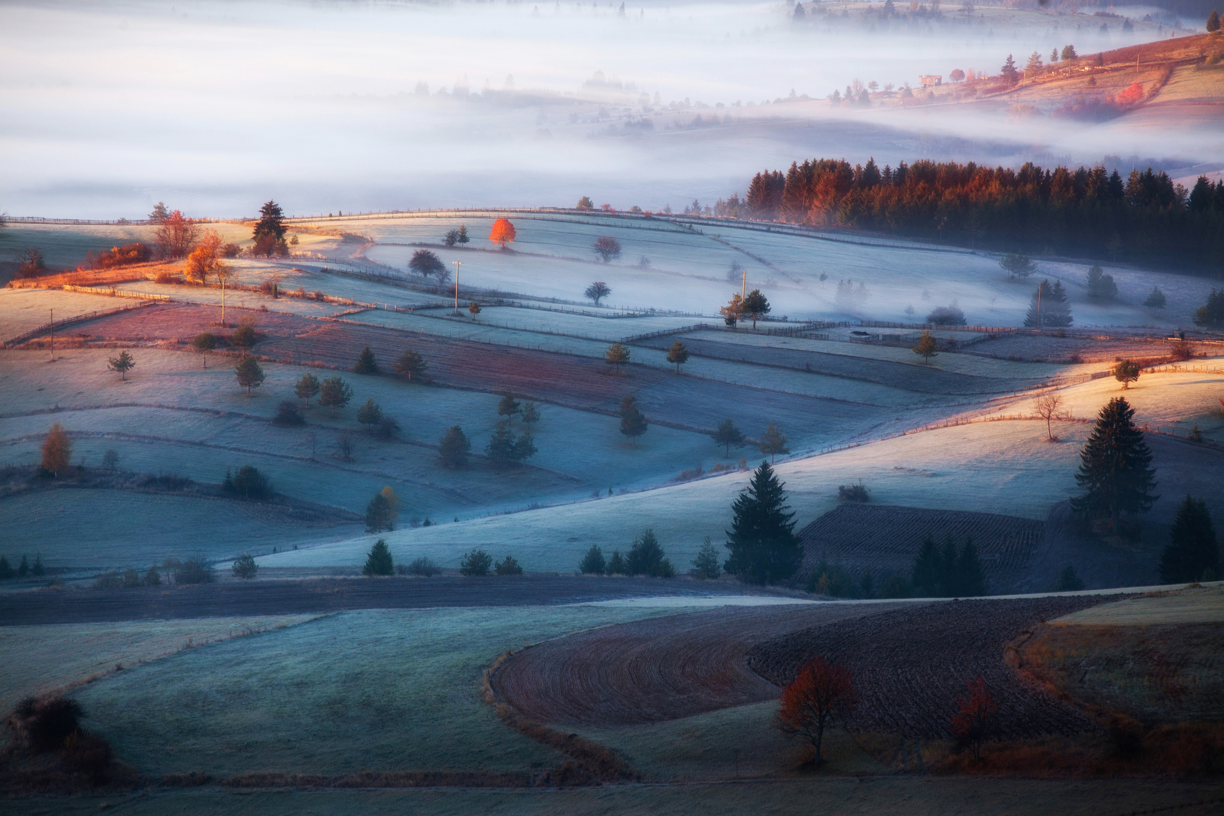Papermoon Fototapete "Photo-Art AMIR BAJRICH, NEBEL"