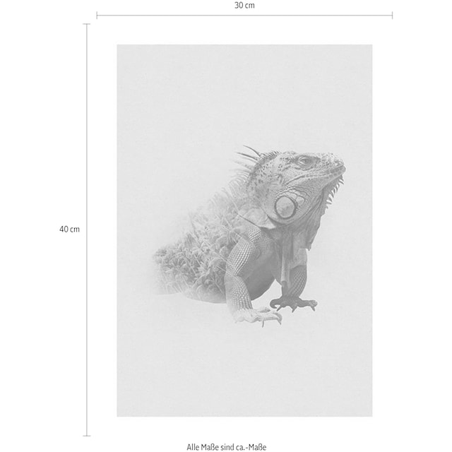 Komar Poster »Animals Paradise Iguana«, Tiere, (1 St.), Kinderzimmer,  Schlafzimmer, Wohnzimmer | BAUR