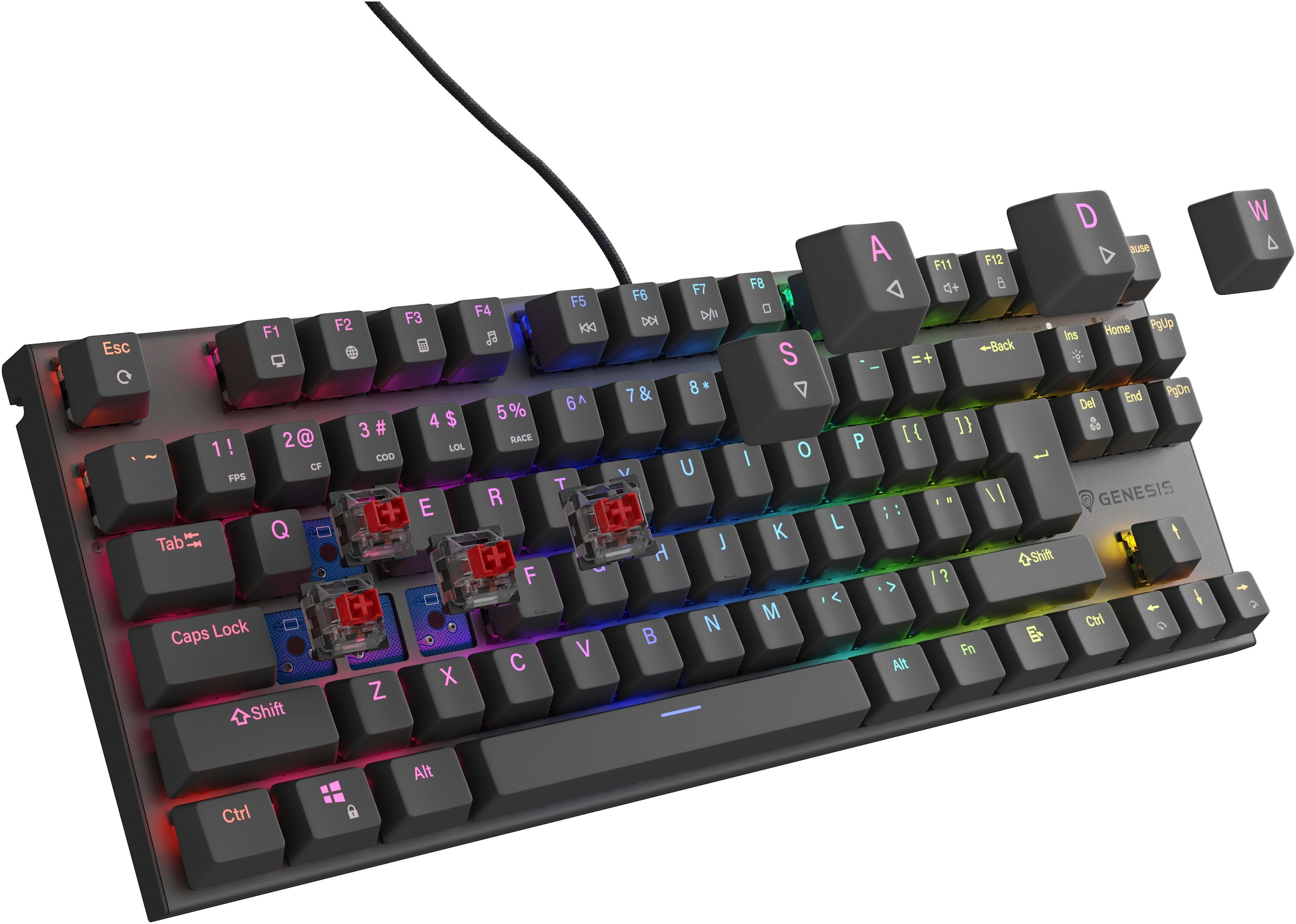 Genesis Gaming-Tastatur »THOR 303 TKL« (Antirutsch-Füße | Funktionstasten | Makrotasten | Multimedia-Tasten | Profil-Speicher | USB-Anschluss | Windows-Sperrtaste)