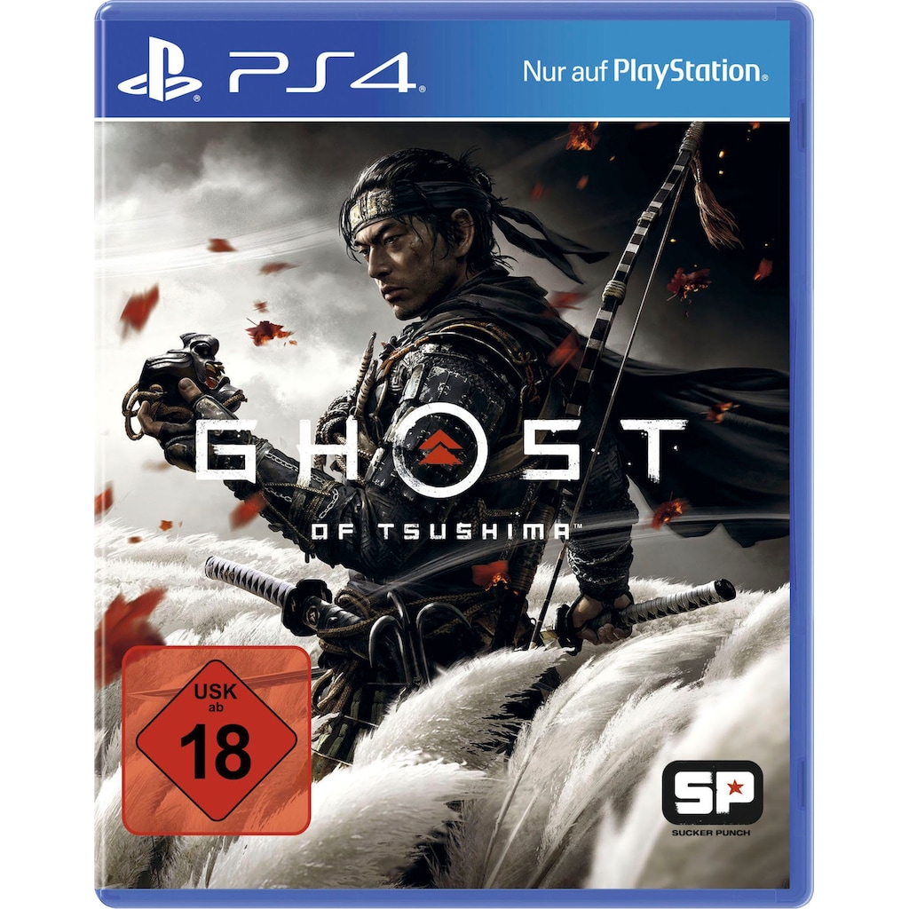 PlayStation 4 Konsolen-Set »Pro«