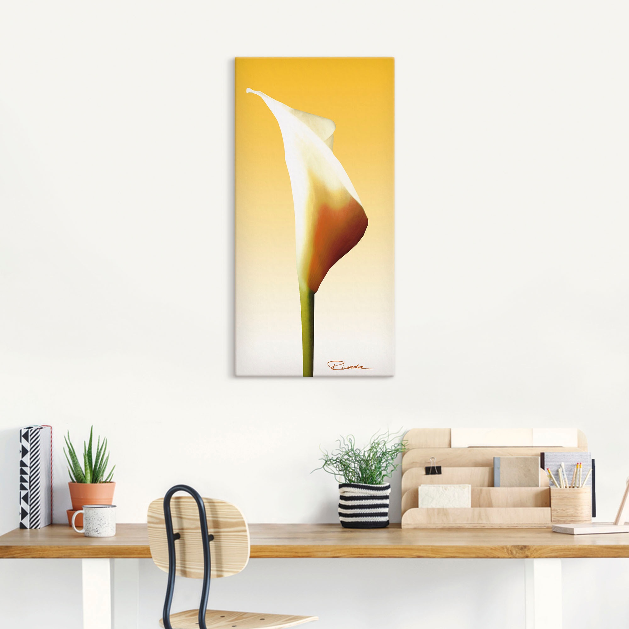 Artland Leinwandbild »Sonnenschein Calla I«, Blumenbilder, (1 St.), auf Keilrahmen gespannt