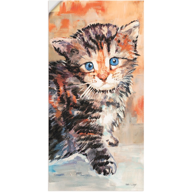 Artland Wandbild »Katze«, Haustiere, (1 St.), als Alubild, Leinwandbild,  Wandaufkleber oder Poster in versch. Größen bestellen | BAUR | Poster