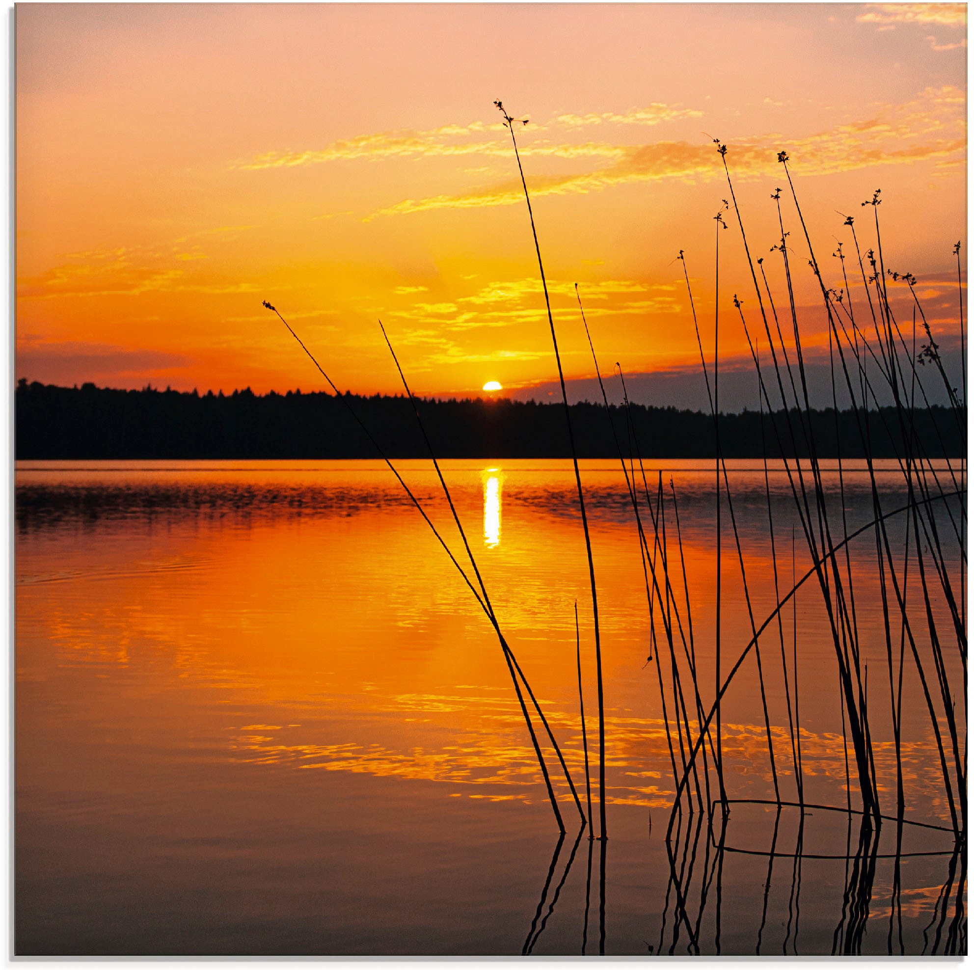 Black Friday Artland Glasbild -untergang, mit BAUR »Landschaft in Größen (1 Sonnenaufgang«, verschiedenen | St.), & Sonnenaufgang