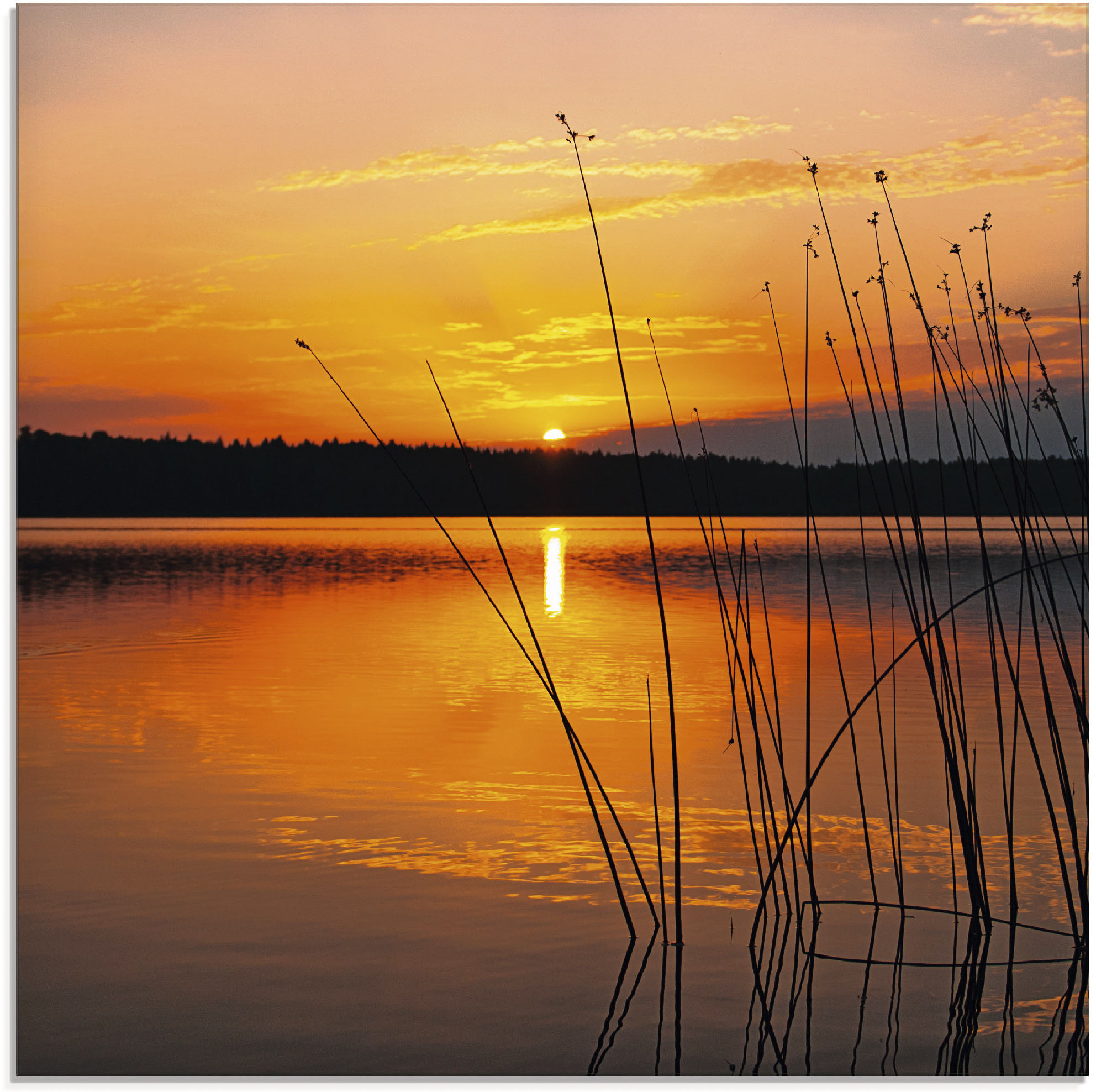 Artland Glasbild "Landschaft mit Sonnenaufgang" Sonnenaufgang & -untergang 1 Stk. tlg. in verschiedenen Größen