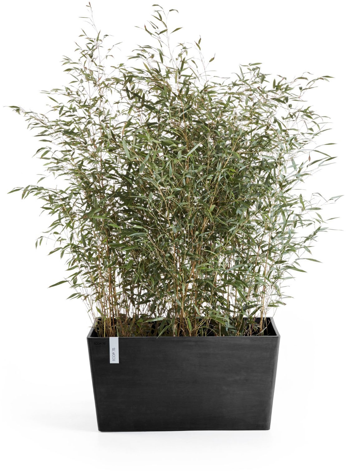 ECOPOTS Blumentopf »Paris« BxTxH: 80x38x42 cm