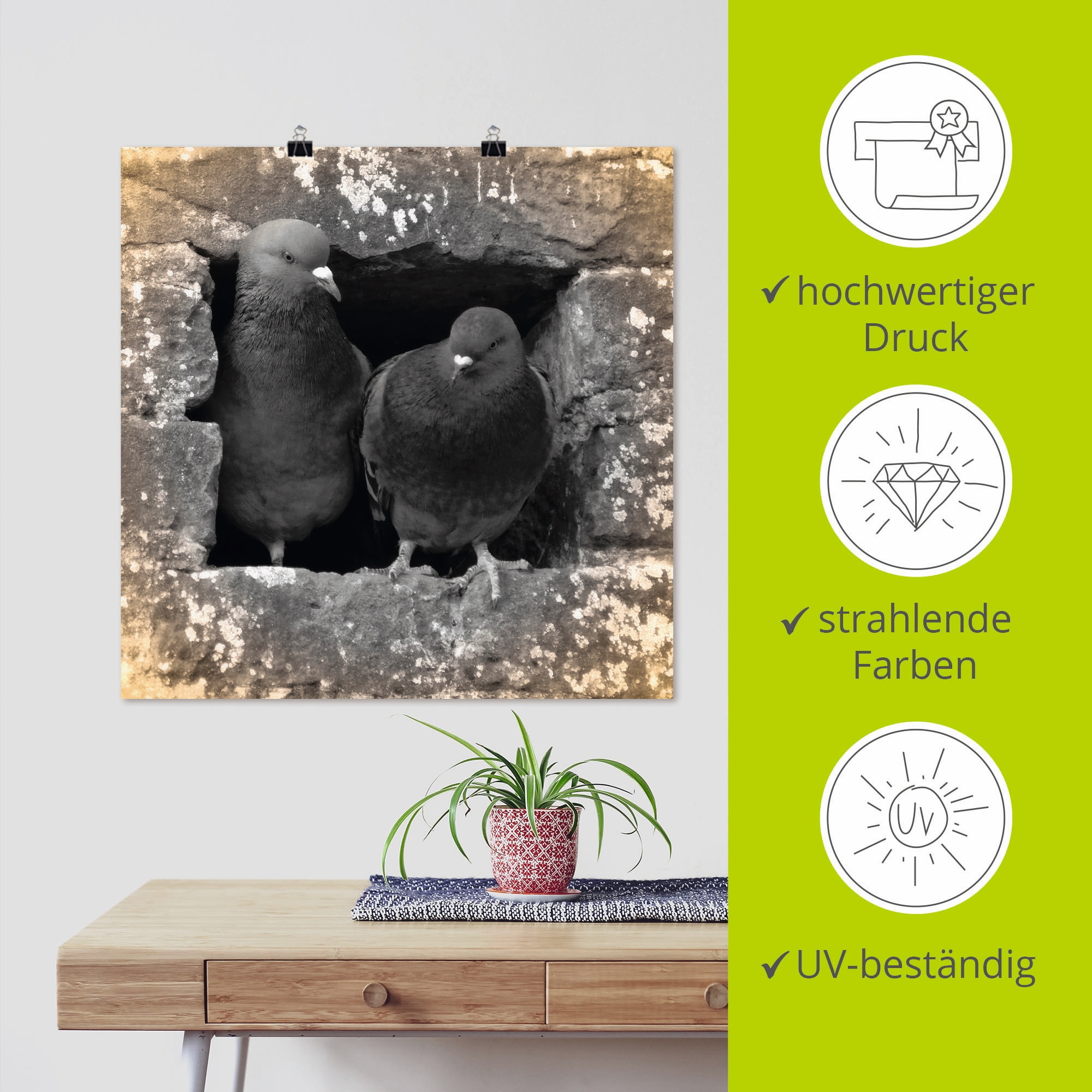 Artland »Tauben Liebe« Vögel 1 Stk. tlg. als Alubild, Poster in verschied. Größen