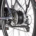 FISCHER Fahrrad E-Bike »VIATOR ETD 2222 422«, 24 Gang, Shimano, Altus, (mit Akku-Ladegerät-mit Werkzeug)