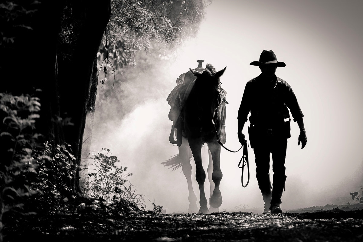 Papermoon Fototapete »WILDE WESTEN-PFERD TIERE PFERDE SCHWARZ WEIß WANDTAPETE«