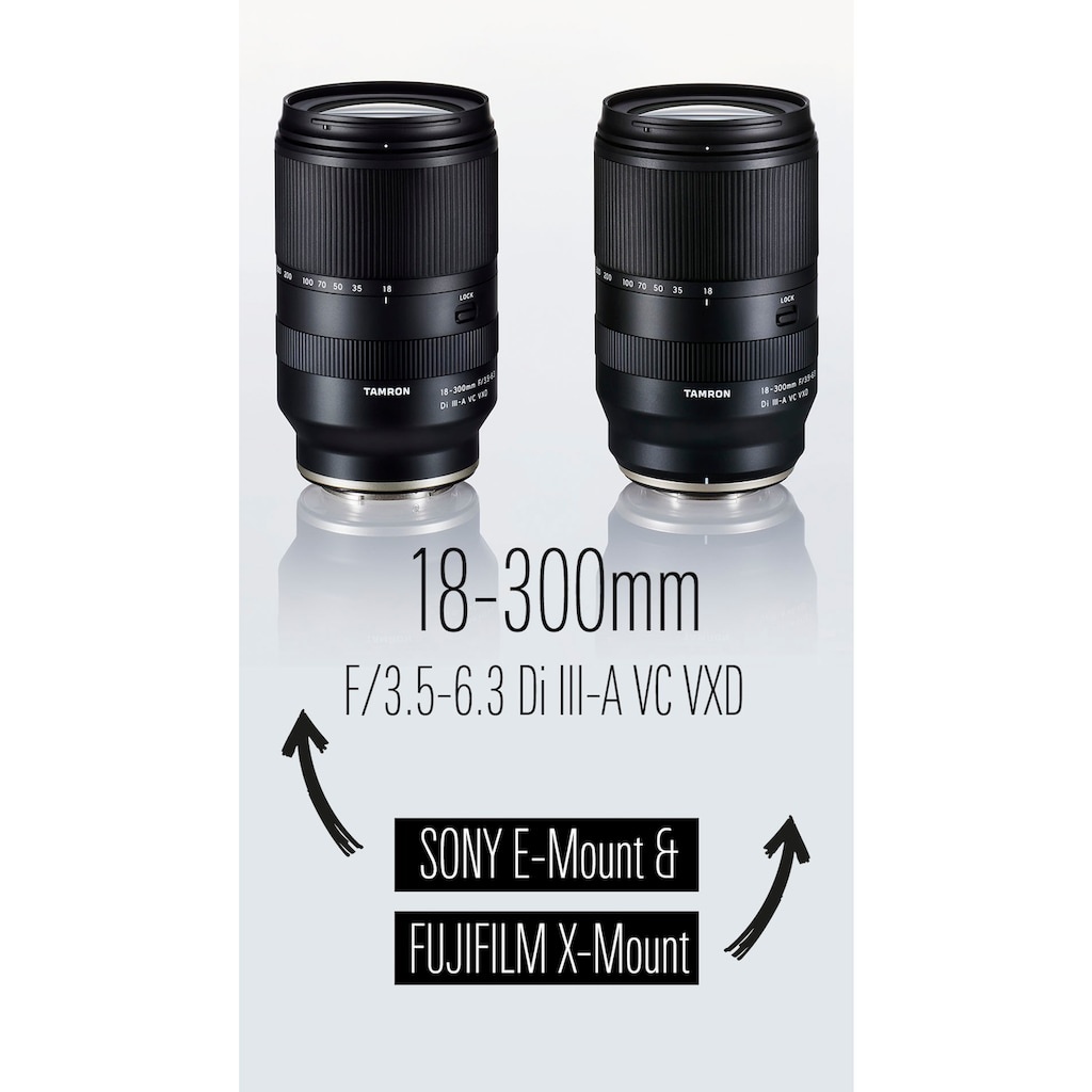 Tamron Objektiv »AF 18-300mm F/3.5-6.3 Di III-A VC VXD für Sony Alpha passendes«