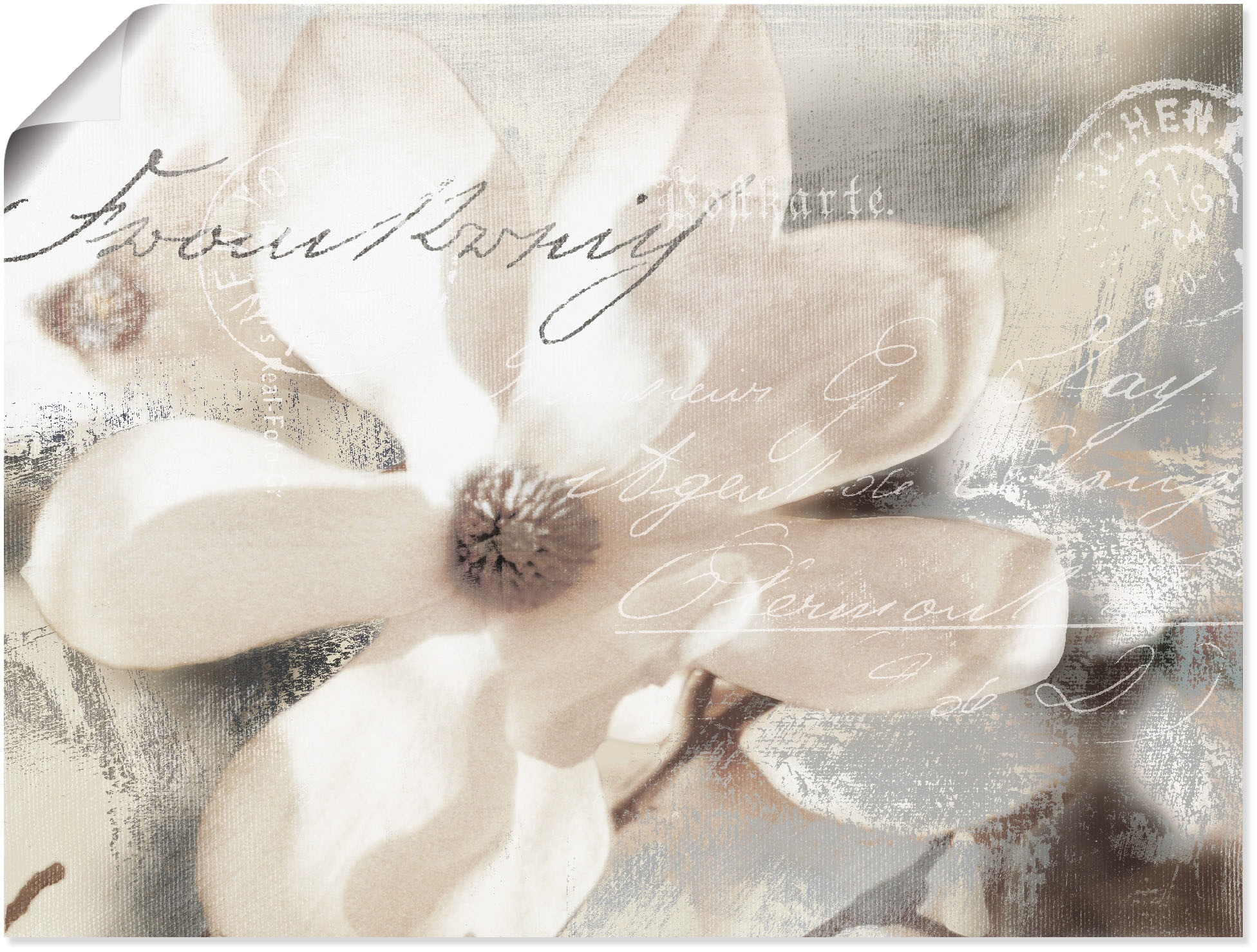 Wandbild »Magnolie_Detail«, Blumenbilder, (1 St.), als Alubild, Outdoorbild,...