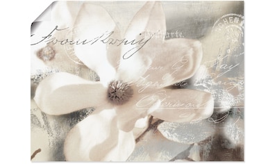 Wandbild »Magnolie_Detail«, Blumenbilder, (1 St.)