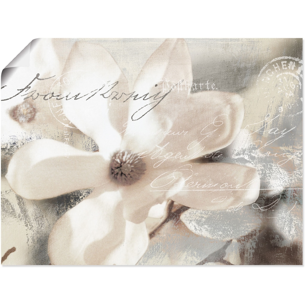 Artland Wandbild »Magnolie_Detail«, Blumenbilder, (1 St.)