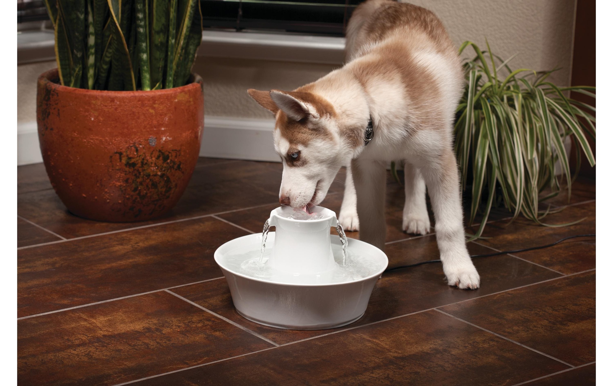 PetSafe Wasserspender »Drinkwell Keramik-Trinkbrunnen Avalon 2 l«