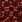 burgund burgund