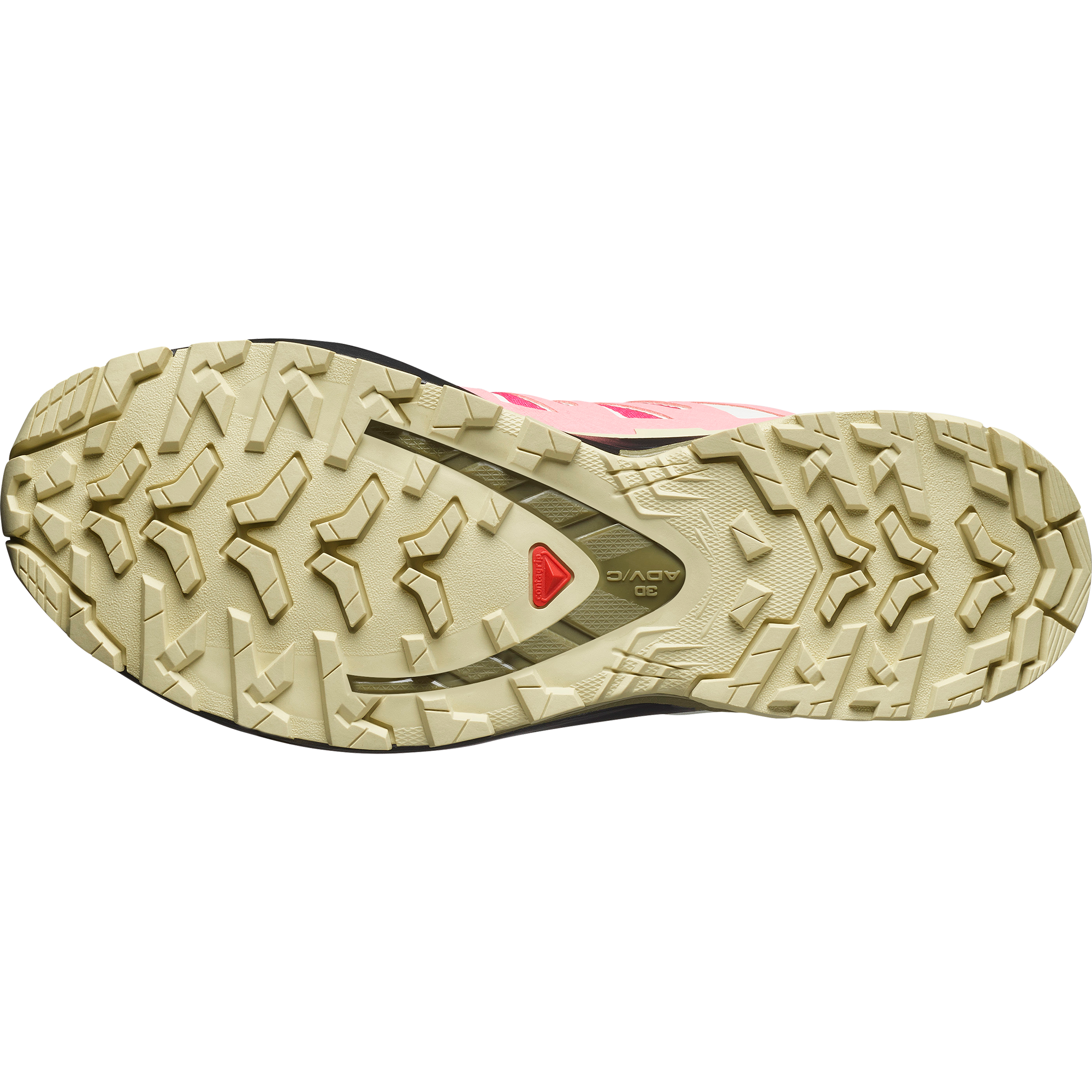 Salomon Laufschuh »XA PRO 3D V9 GORE-TEX W«, wasserdicht