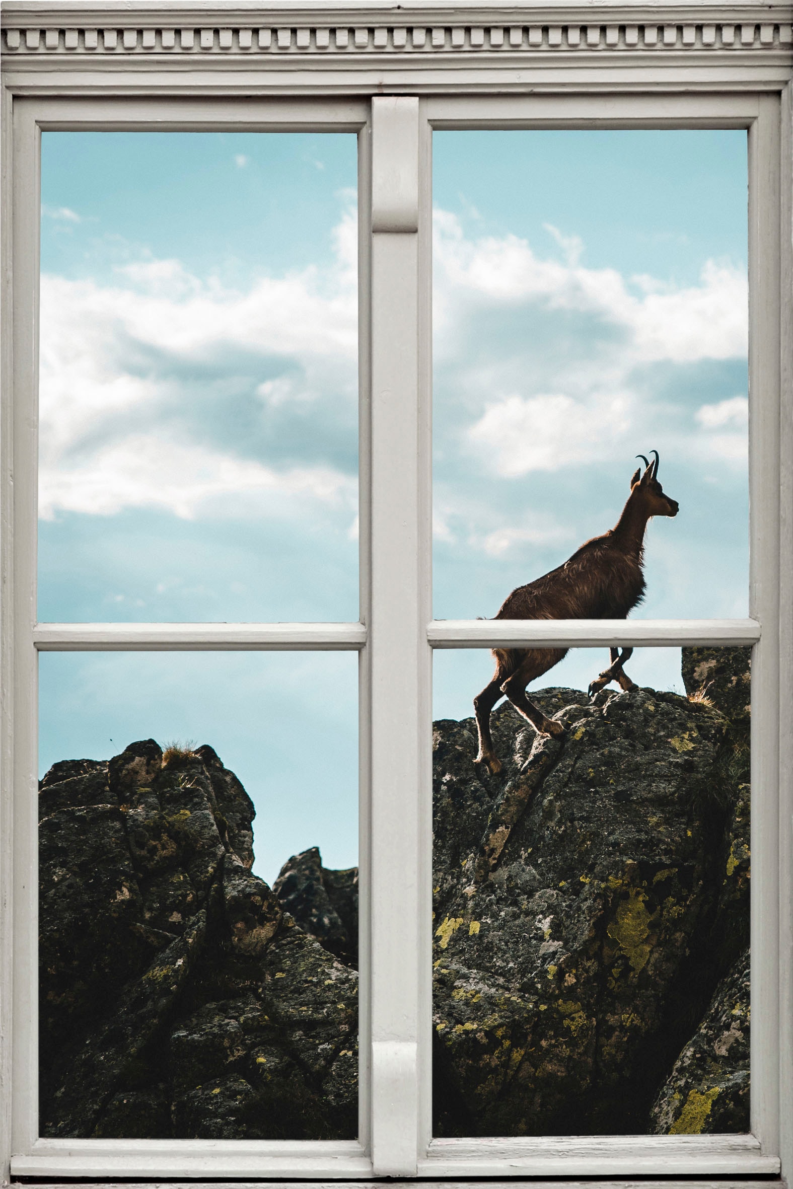 queence Wandsticker "Steinbock", Wandsticker, Wandbild, selbstklebend, 3D, Fenster