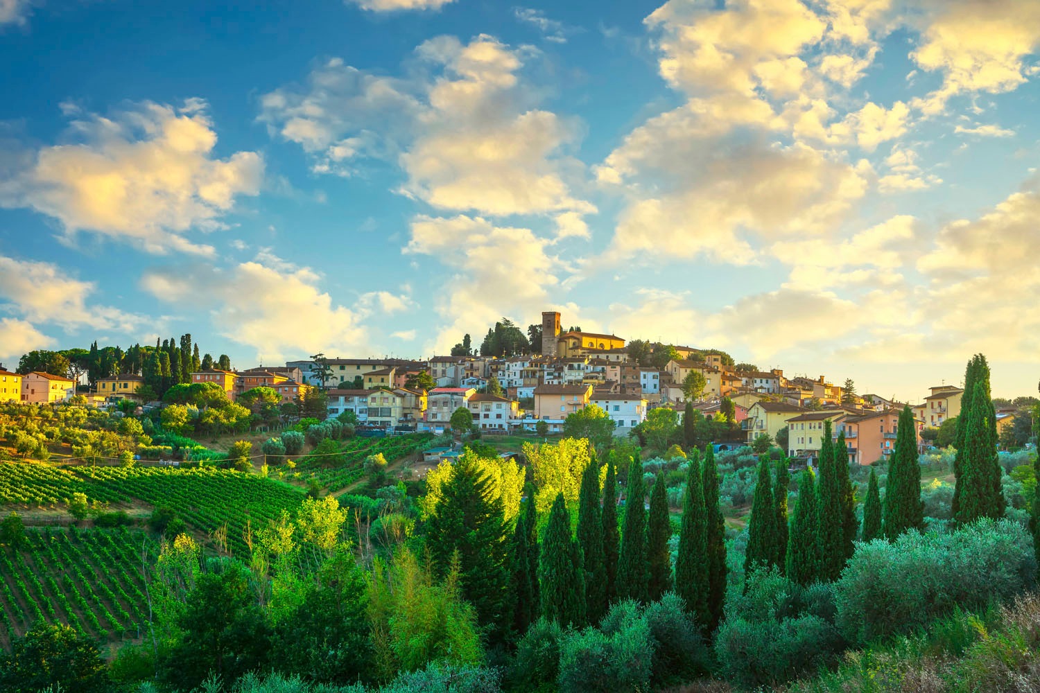 queence Acrylglasbild "Elina" Gebäude  Italien  Landschaft  Stadt  Tannenba günstig online kaufen