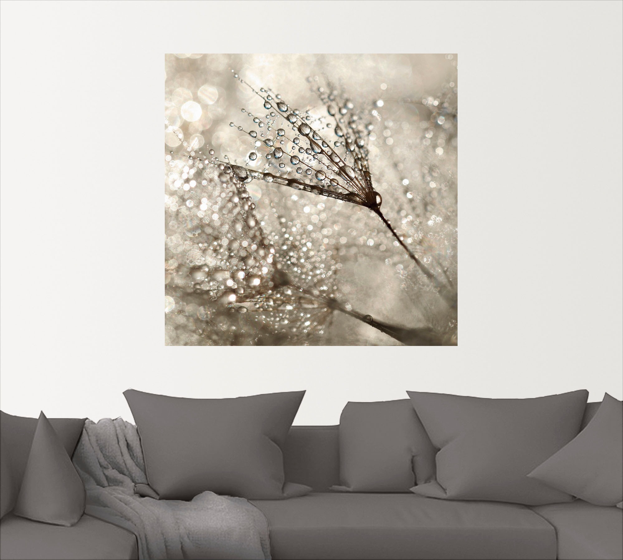 Artland Wandbild "Pusteblume Tautropfen", Blumen, (1 St.), als Alubild, Out günstig online kaufen