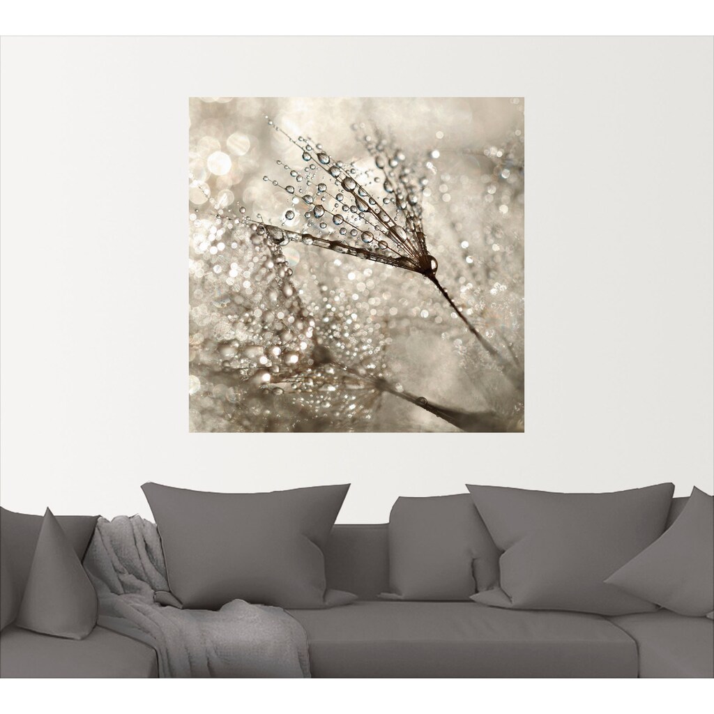 Artland Wandbild »Pusteblume Tautropfen«, Blumen, (1 St.)