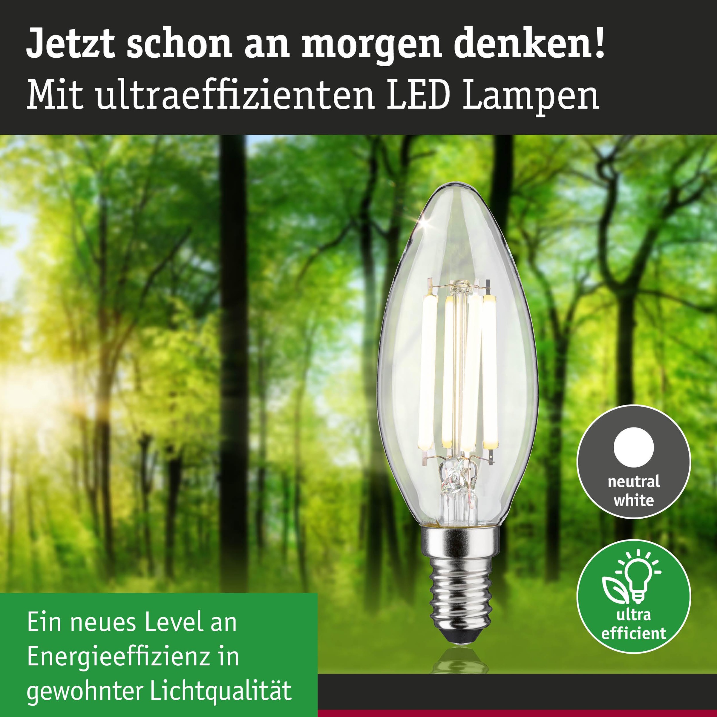 Paulmann LED-Leuchtmittel »Eco-Line Kerze 840lm 4W 4000K klar 230V« E14 1 Stk. Neutralweiß